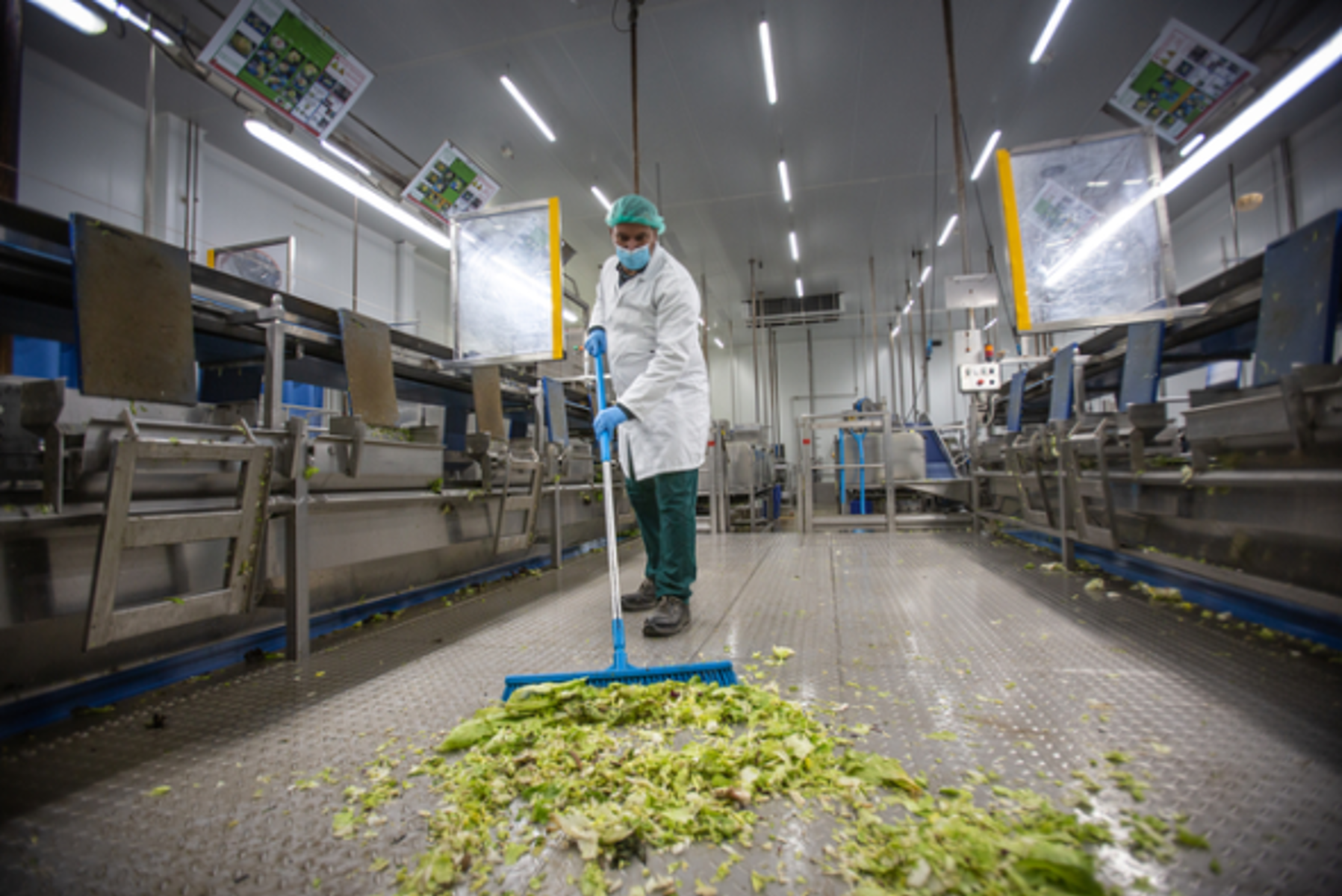 Product image maximized