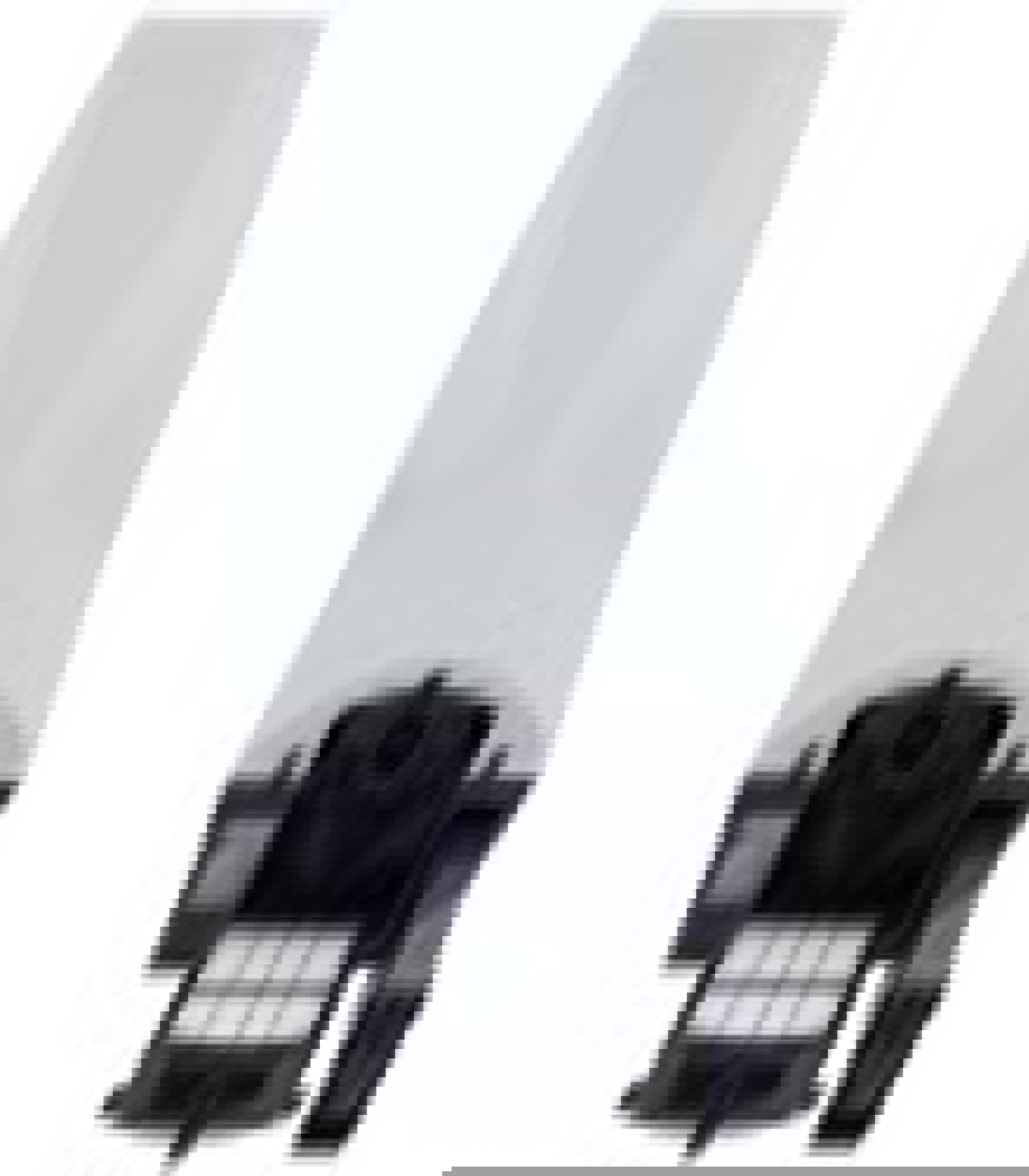 Product image maximized