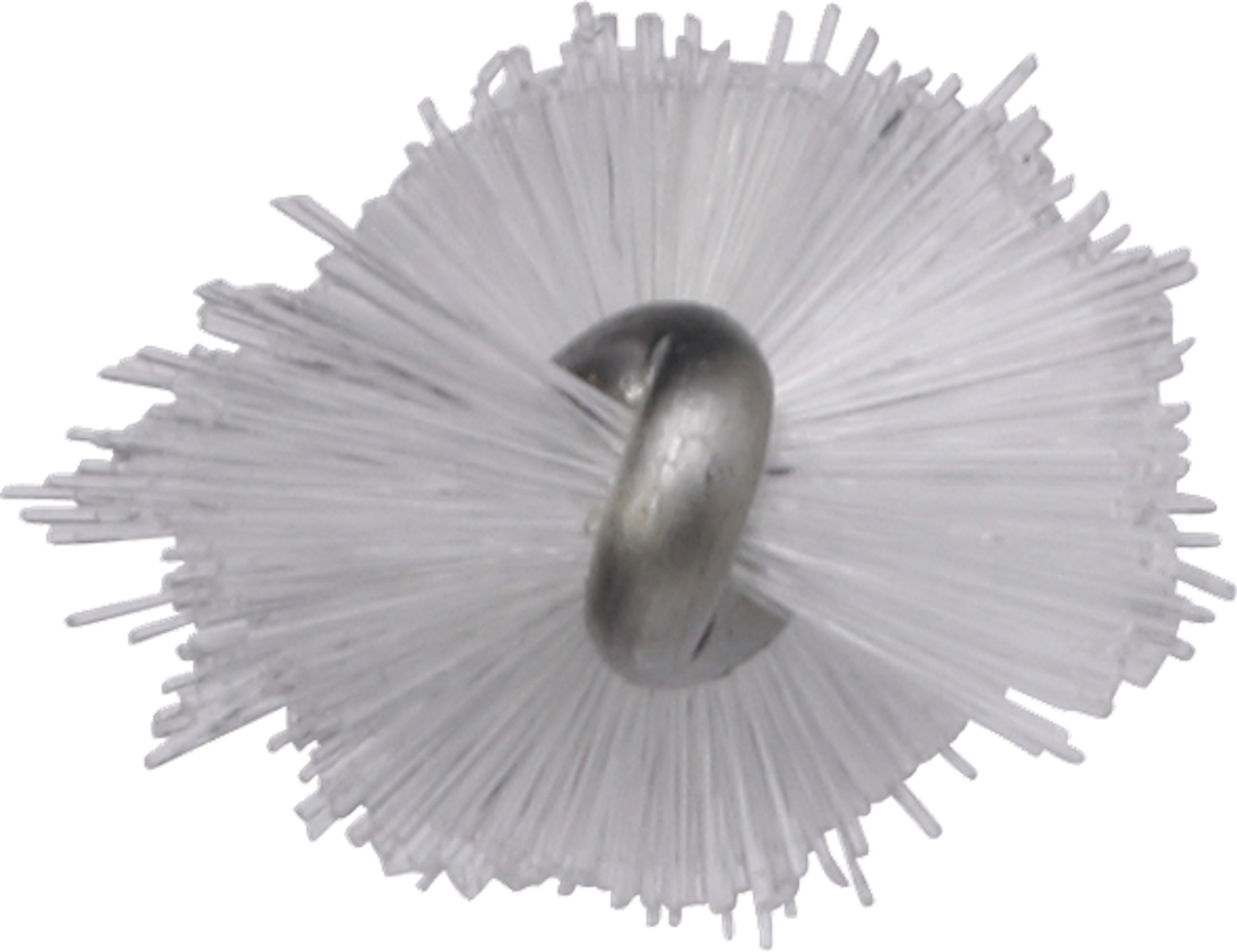 Product image maximized