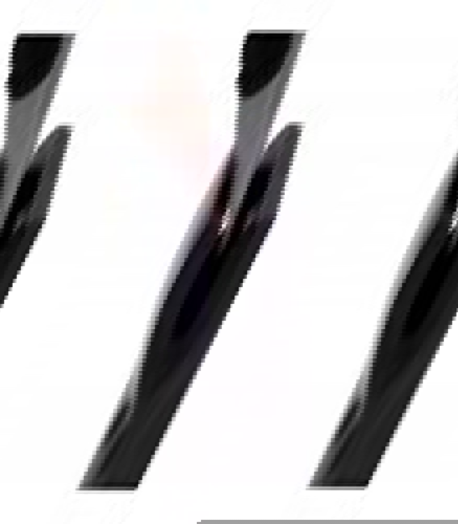 Product image maximized