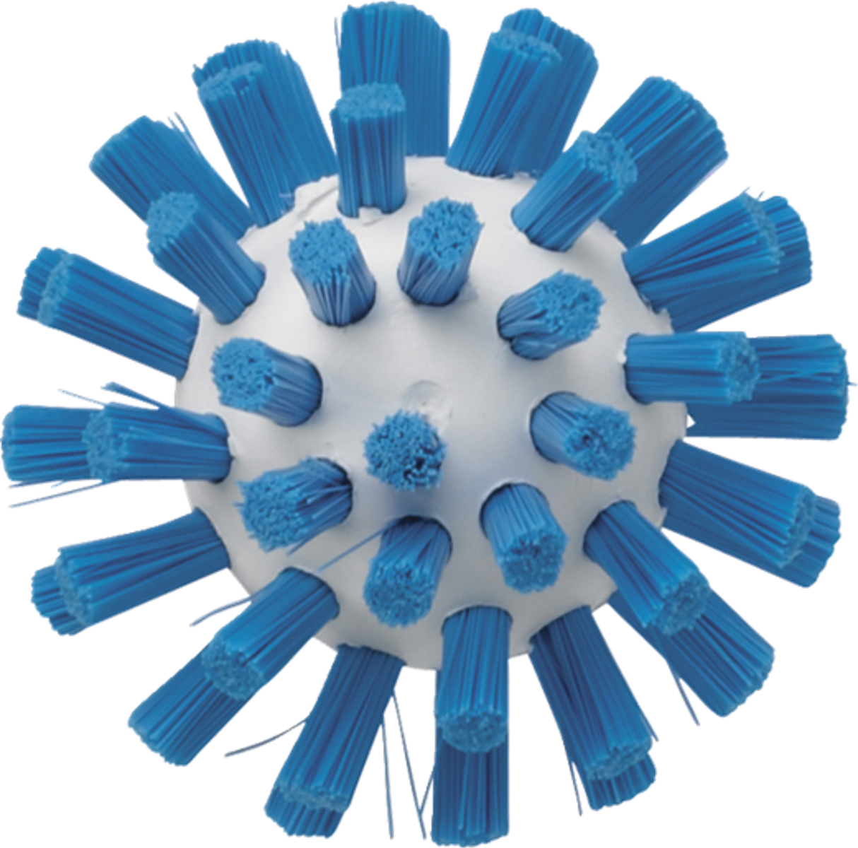 Product image maximized