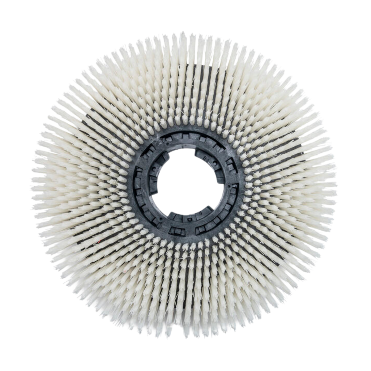 Product image maximized