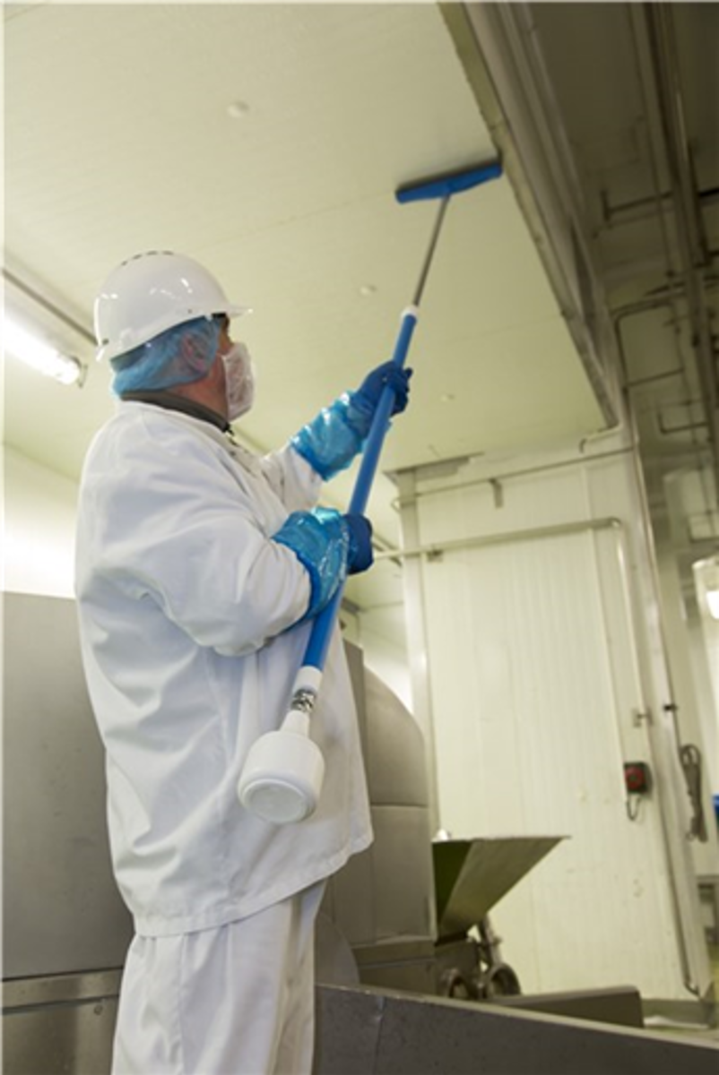 Product image maximized