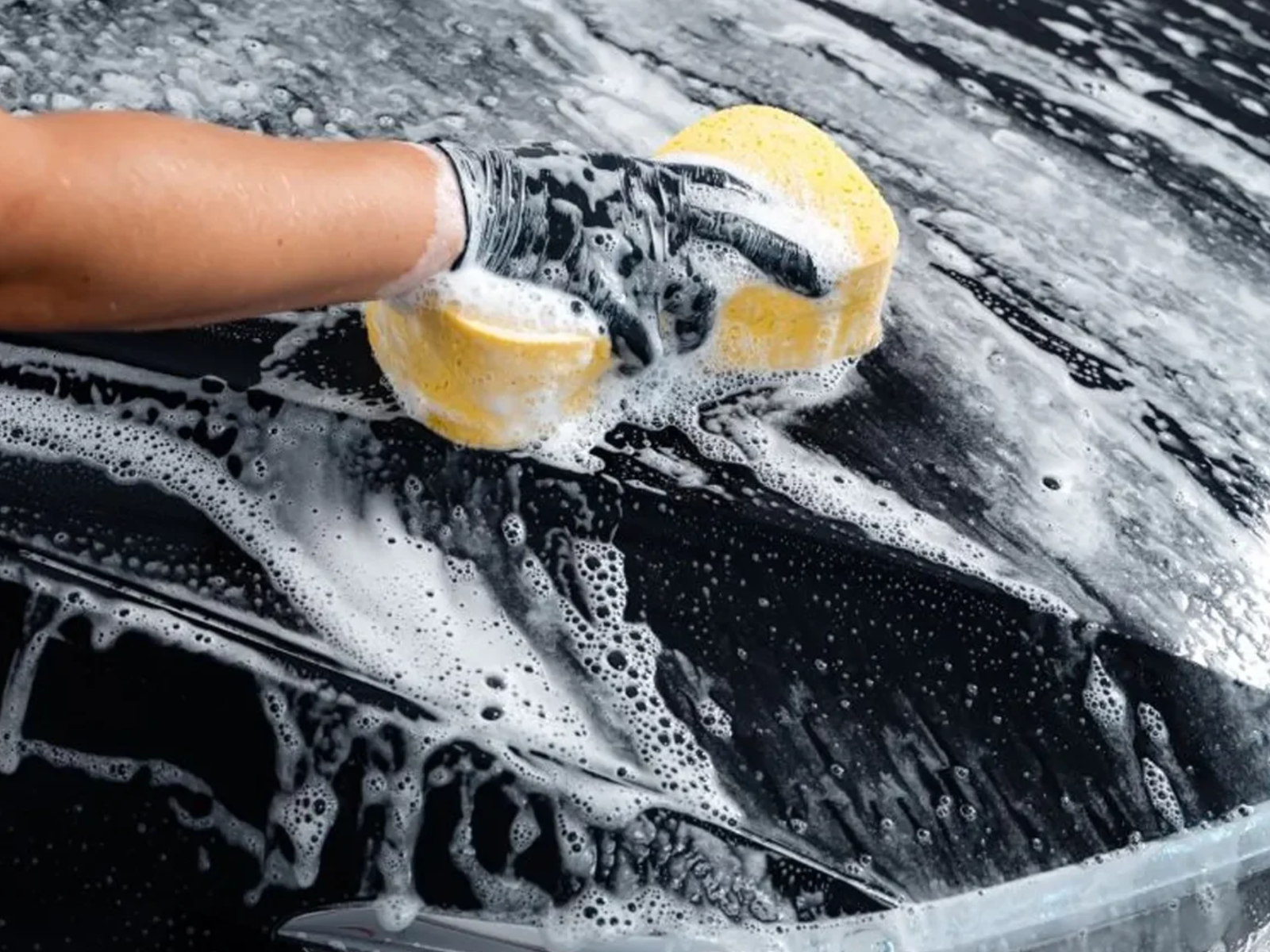 Product image maximized