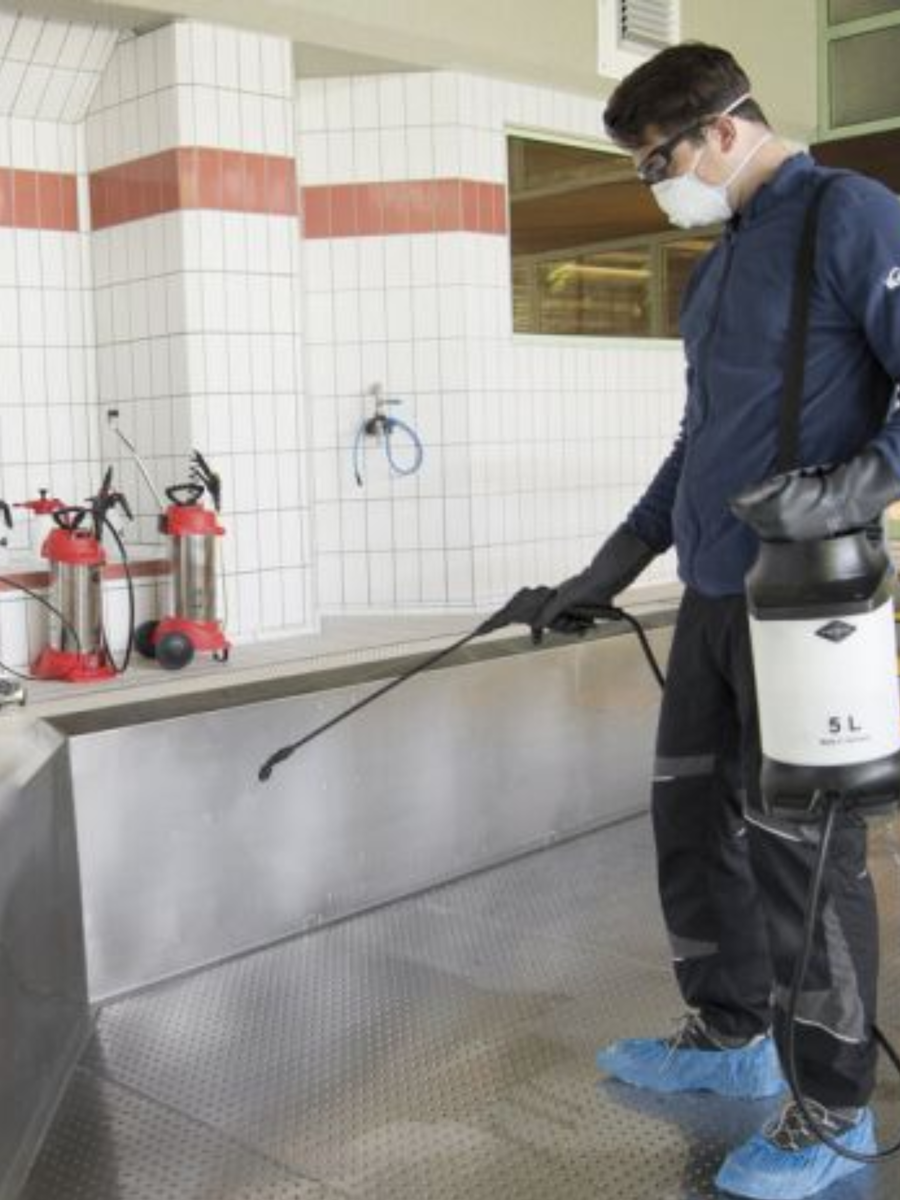 Product image maximized