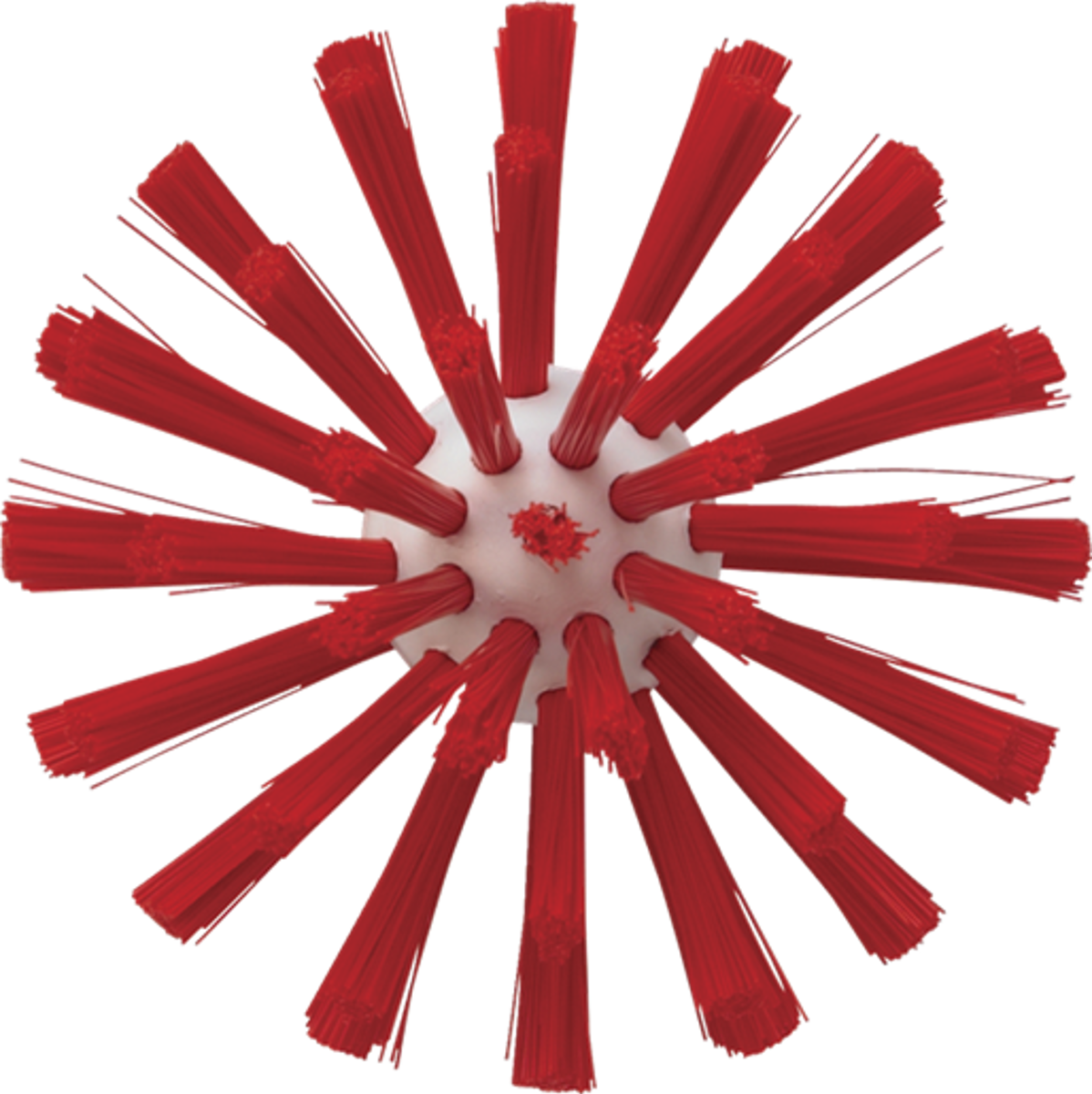 Product image maximized