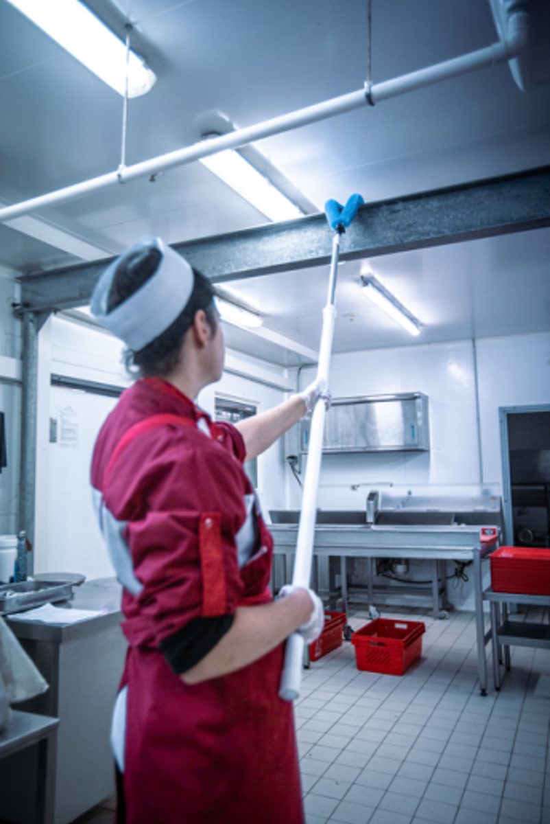 Product image maximized