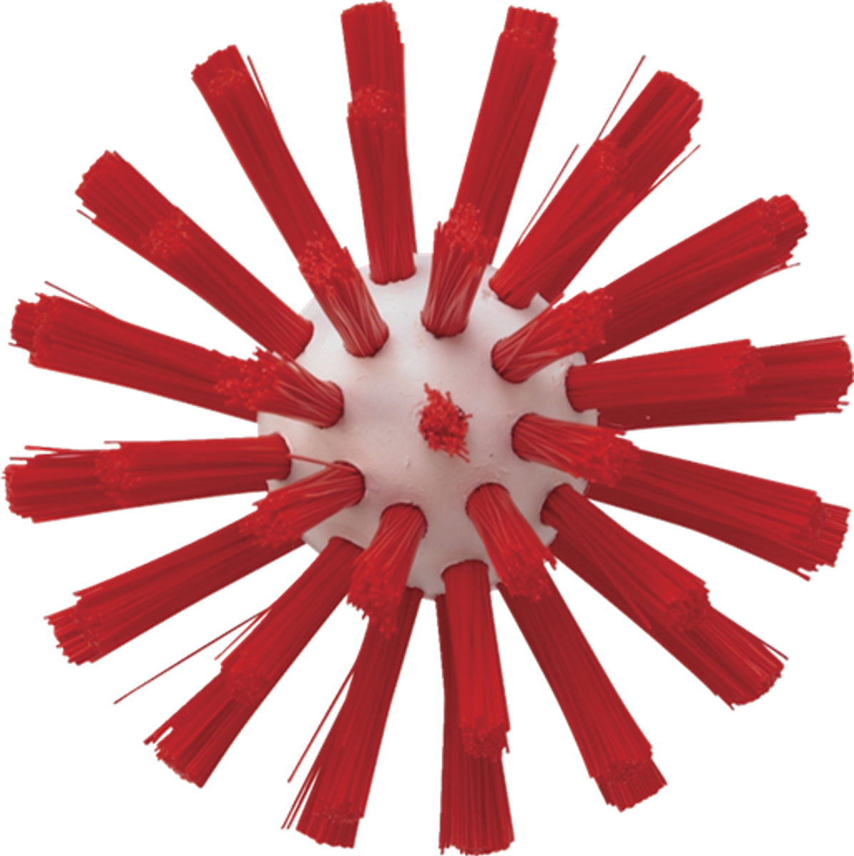 Product image maximized