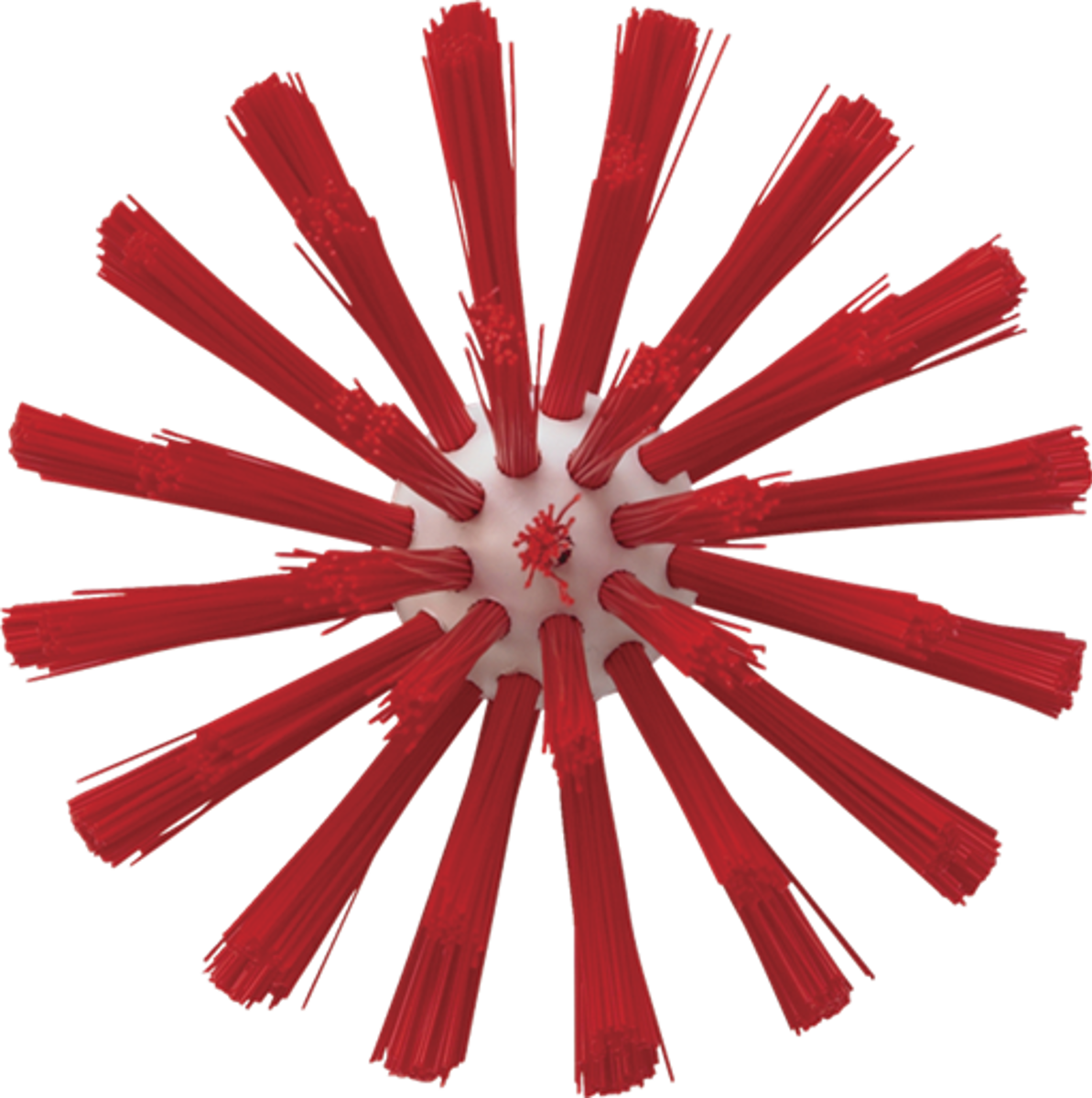 Product image maximized