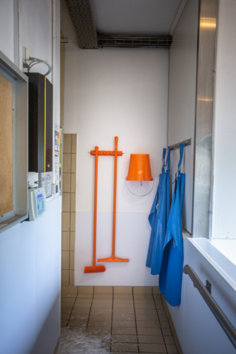 Product image maximized