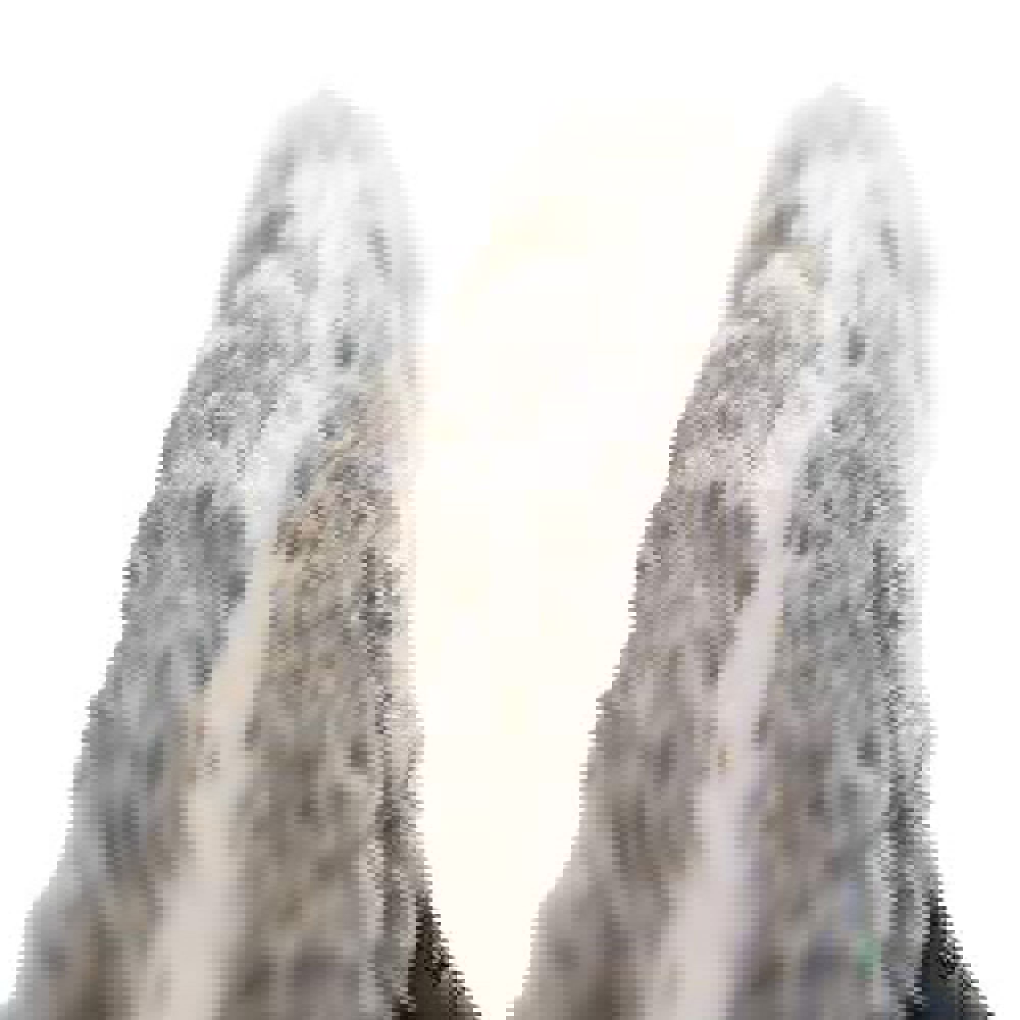 Product image maximized