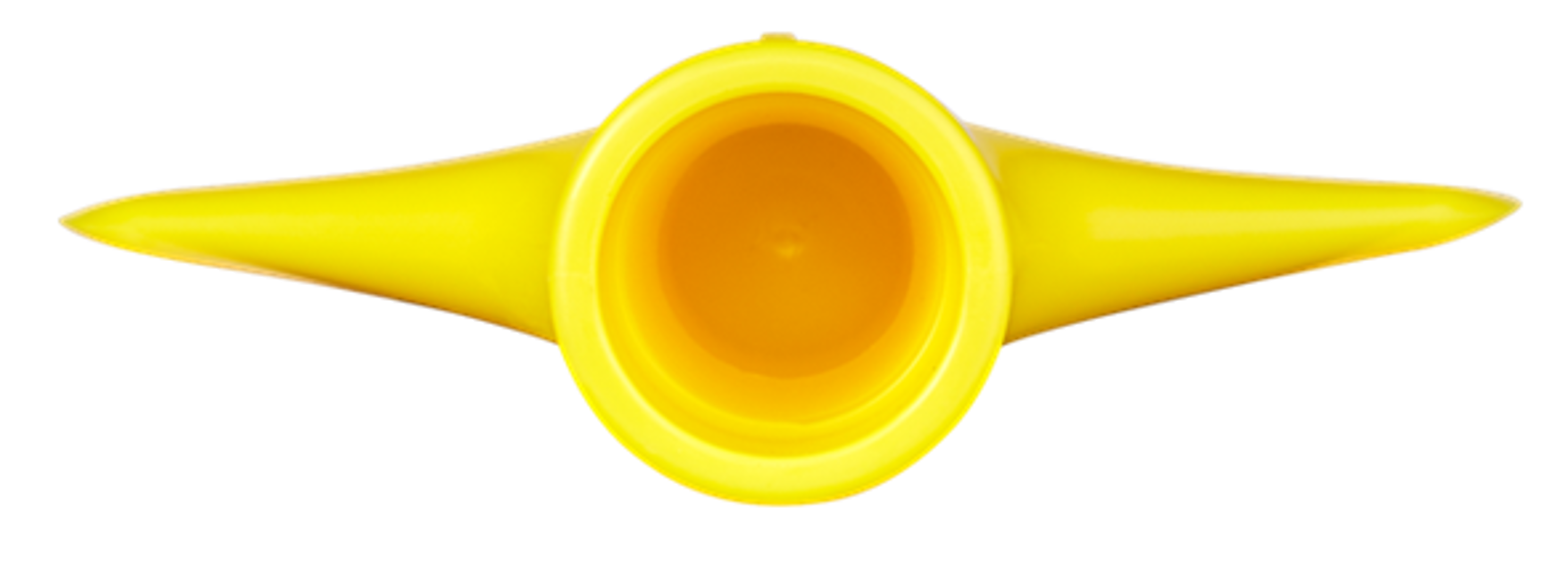 Product image maximized