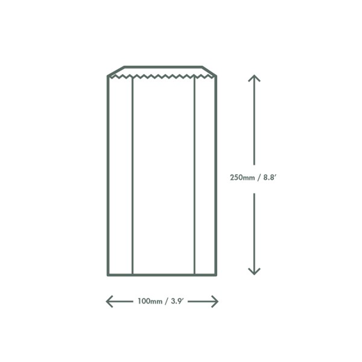 Product image maximized