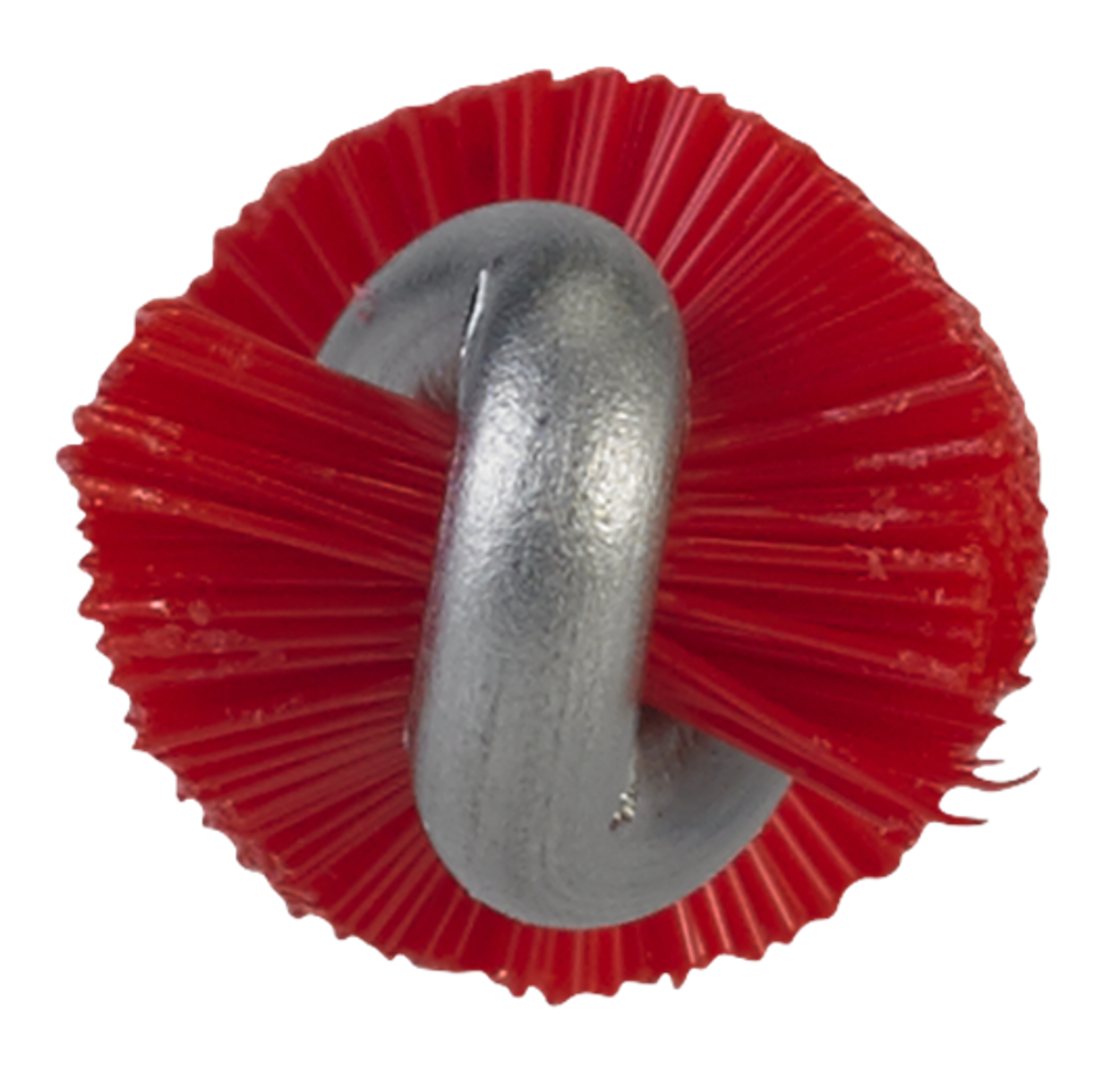 Product image maximized