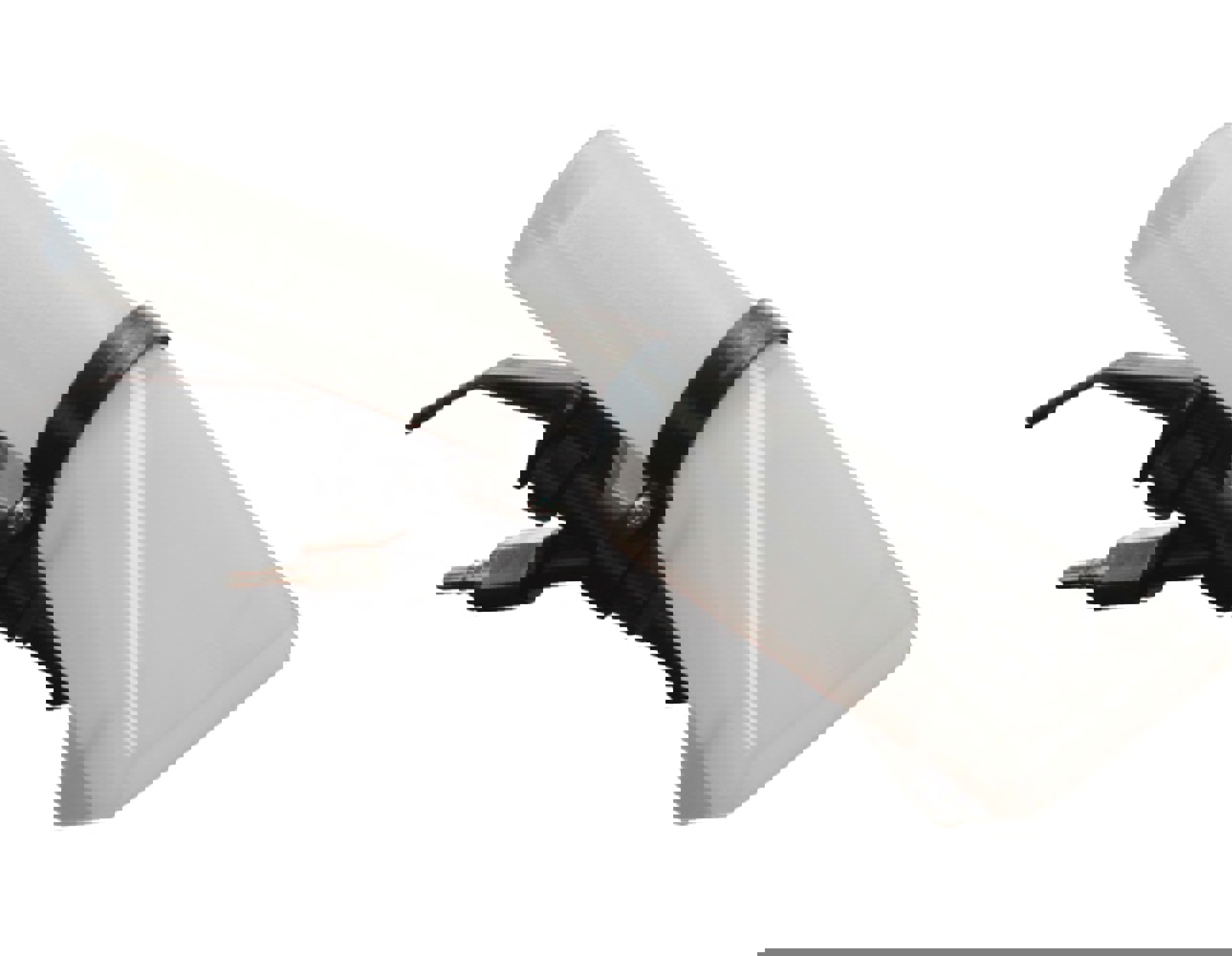 Product image maximized