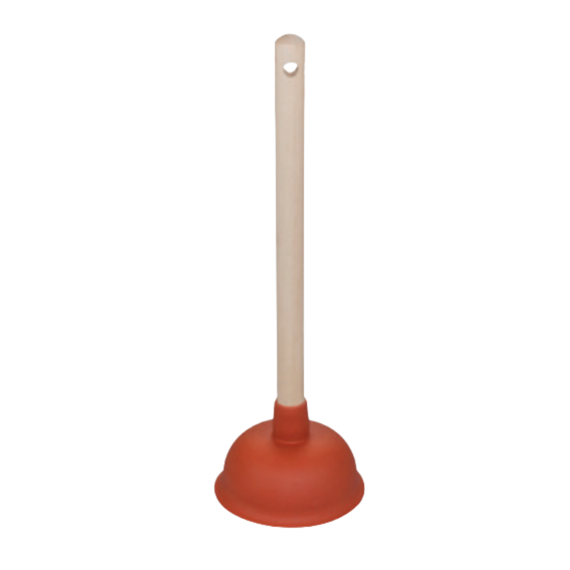 Product image maximized