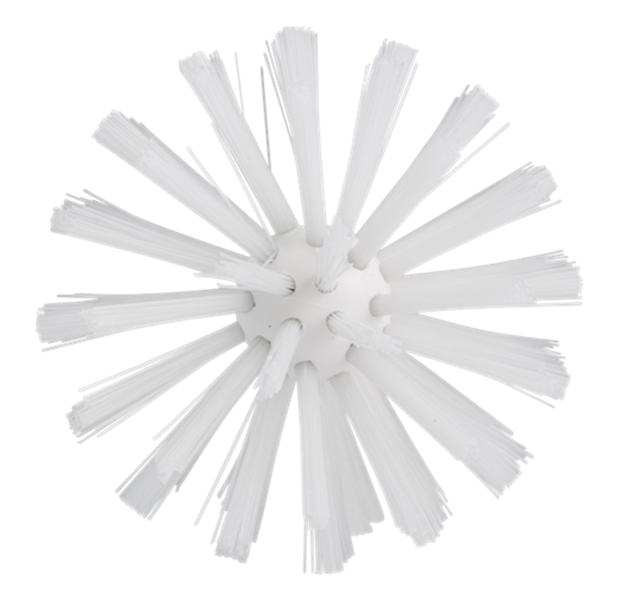 Product image maximized