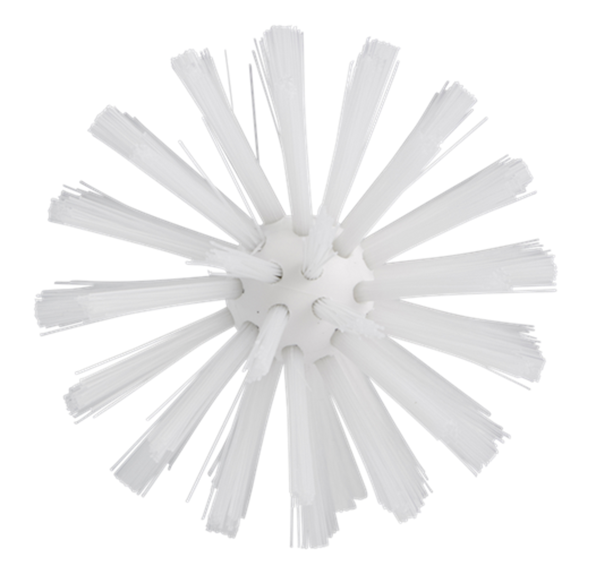 Product image maximized