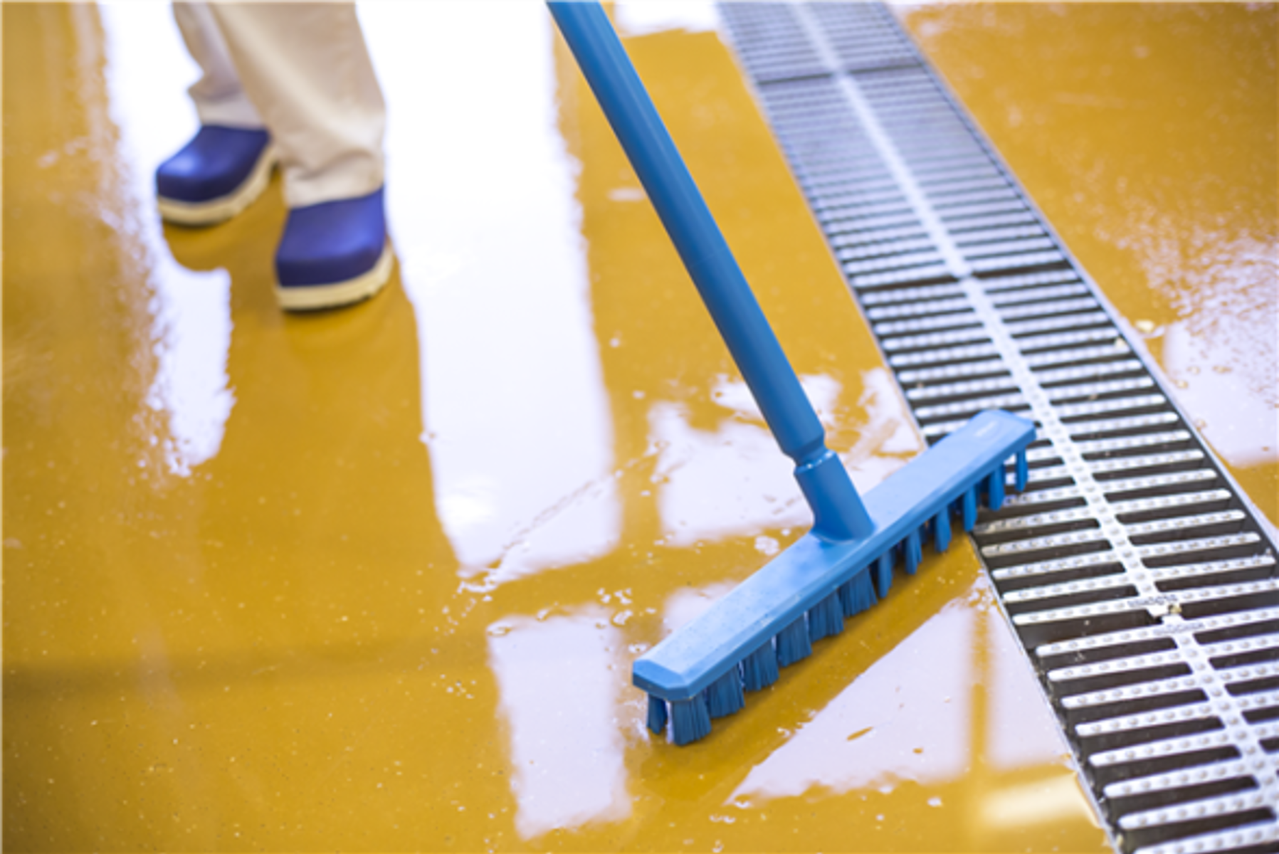 Product image maximized