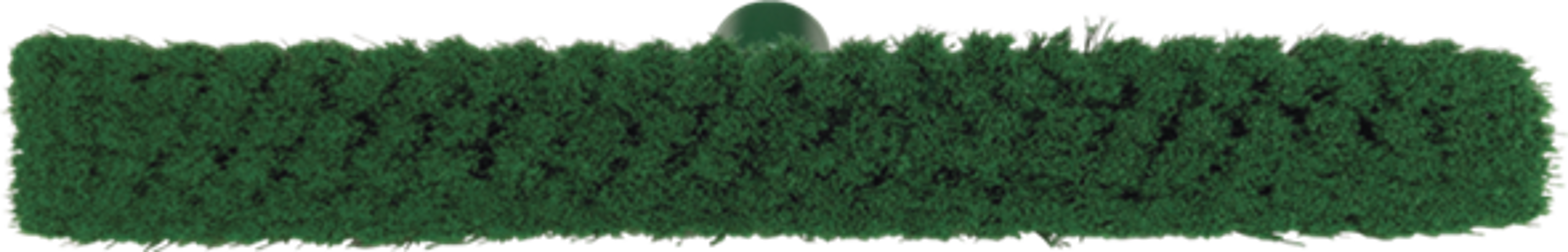 Product image maximized