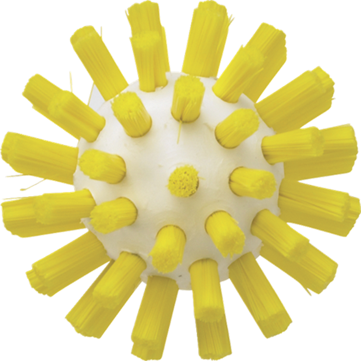 Product image maximized