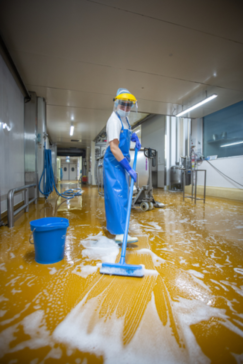 Product image maximized