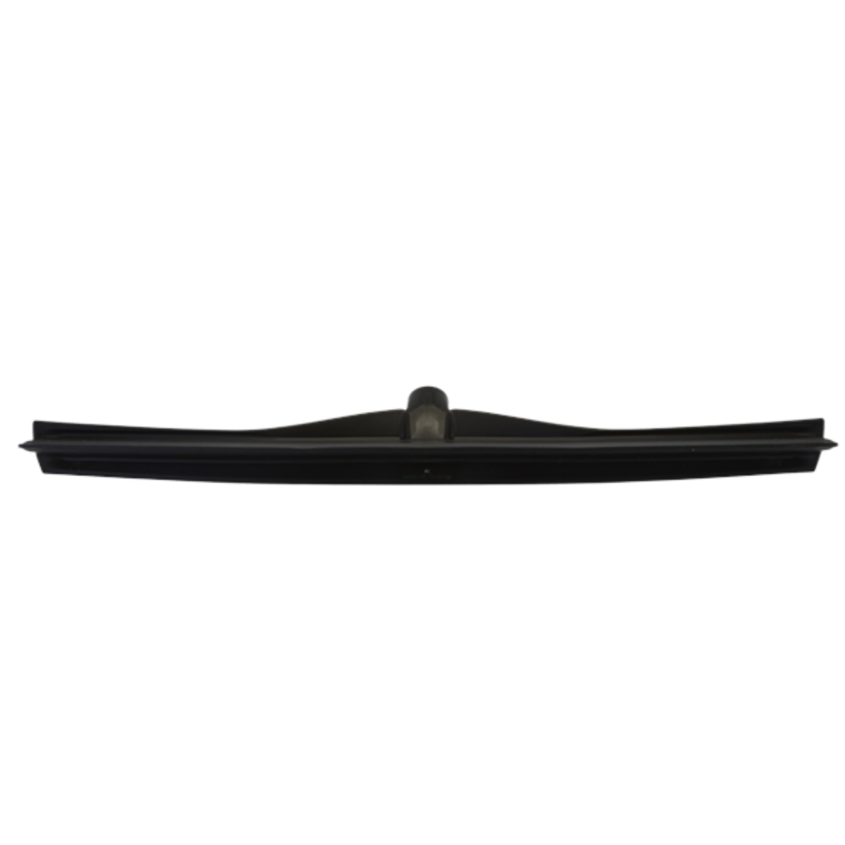 Product image maximized