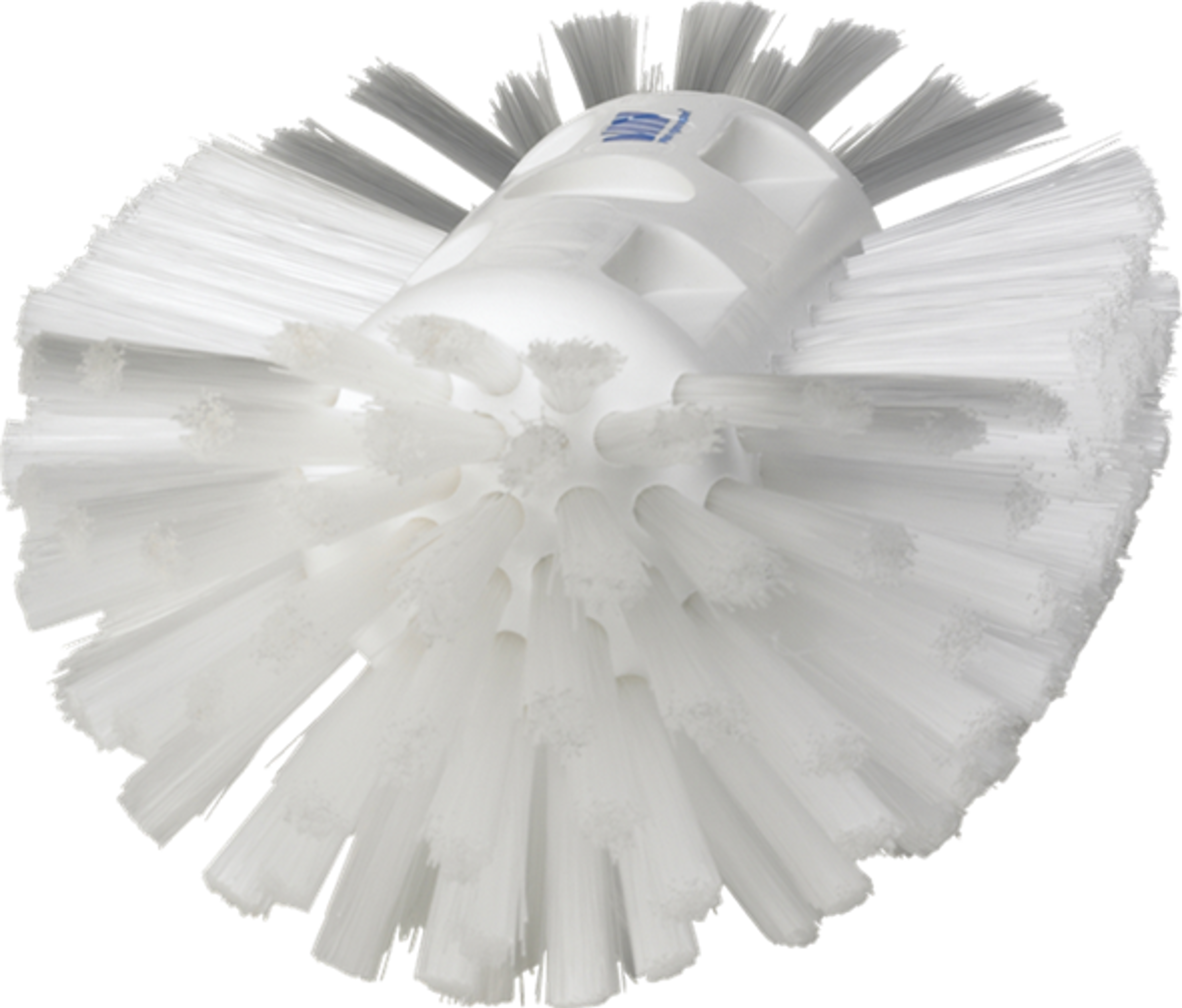 Product image maximized