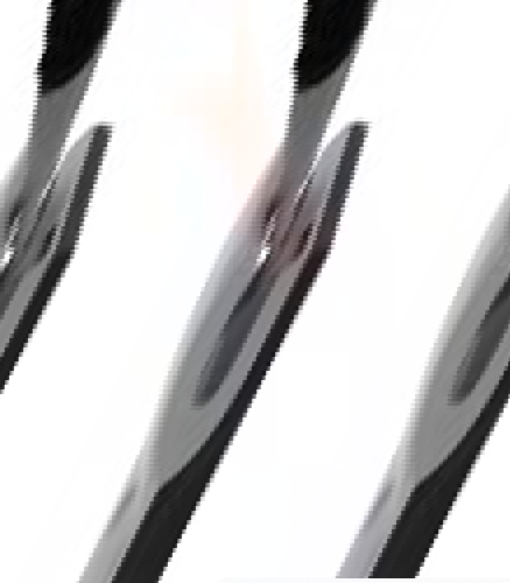 Product image maximized