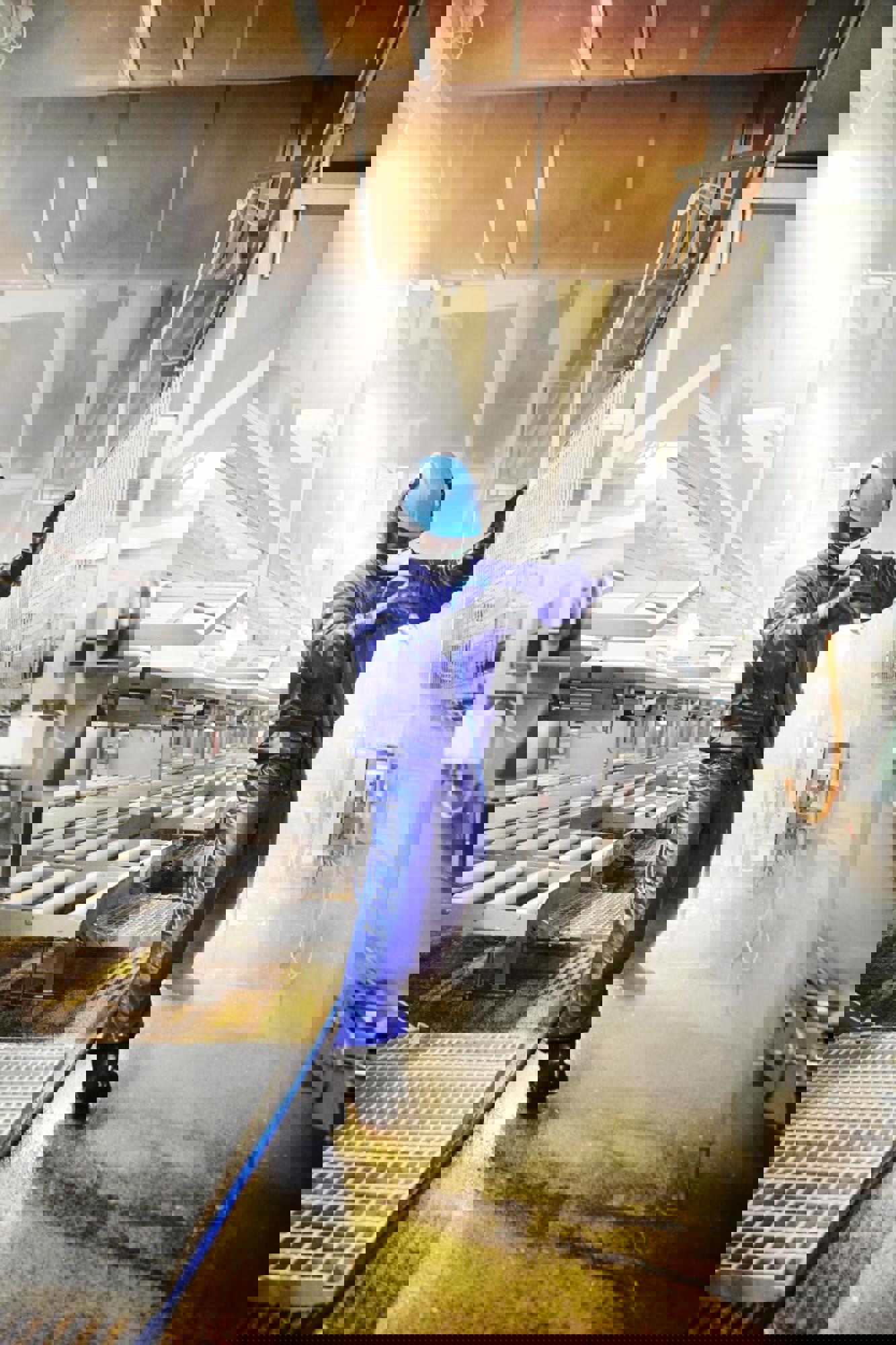 Product image maximized