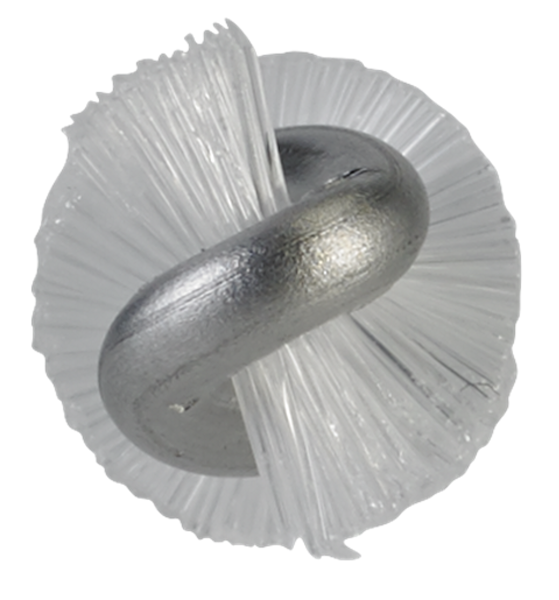 Product image maximized