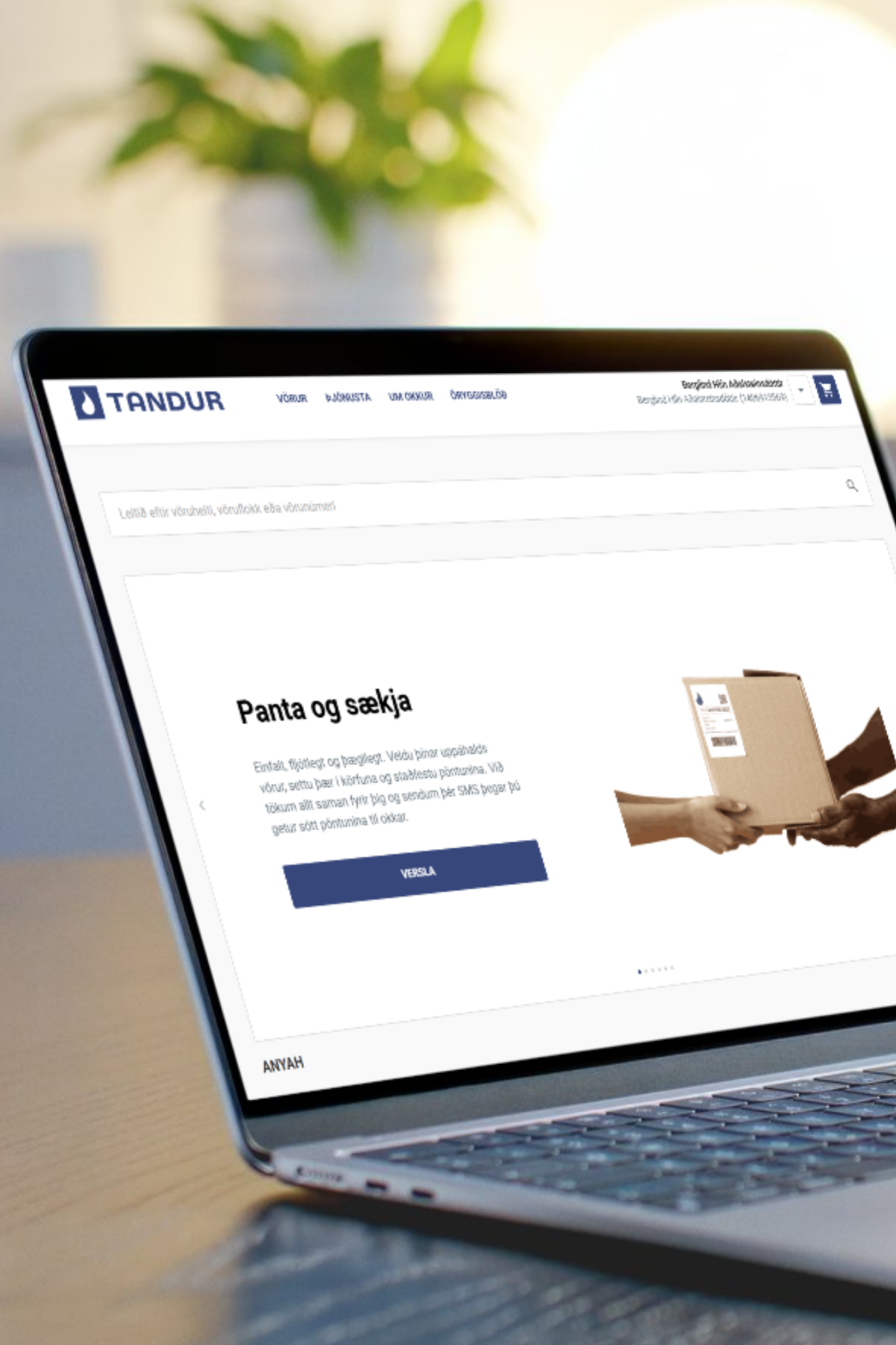 Mynd Komdu I Vidskipti