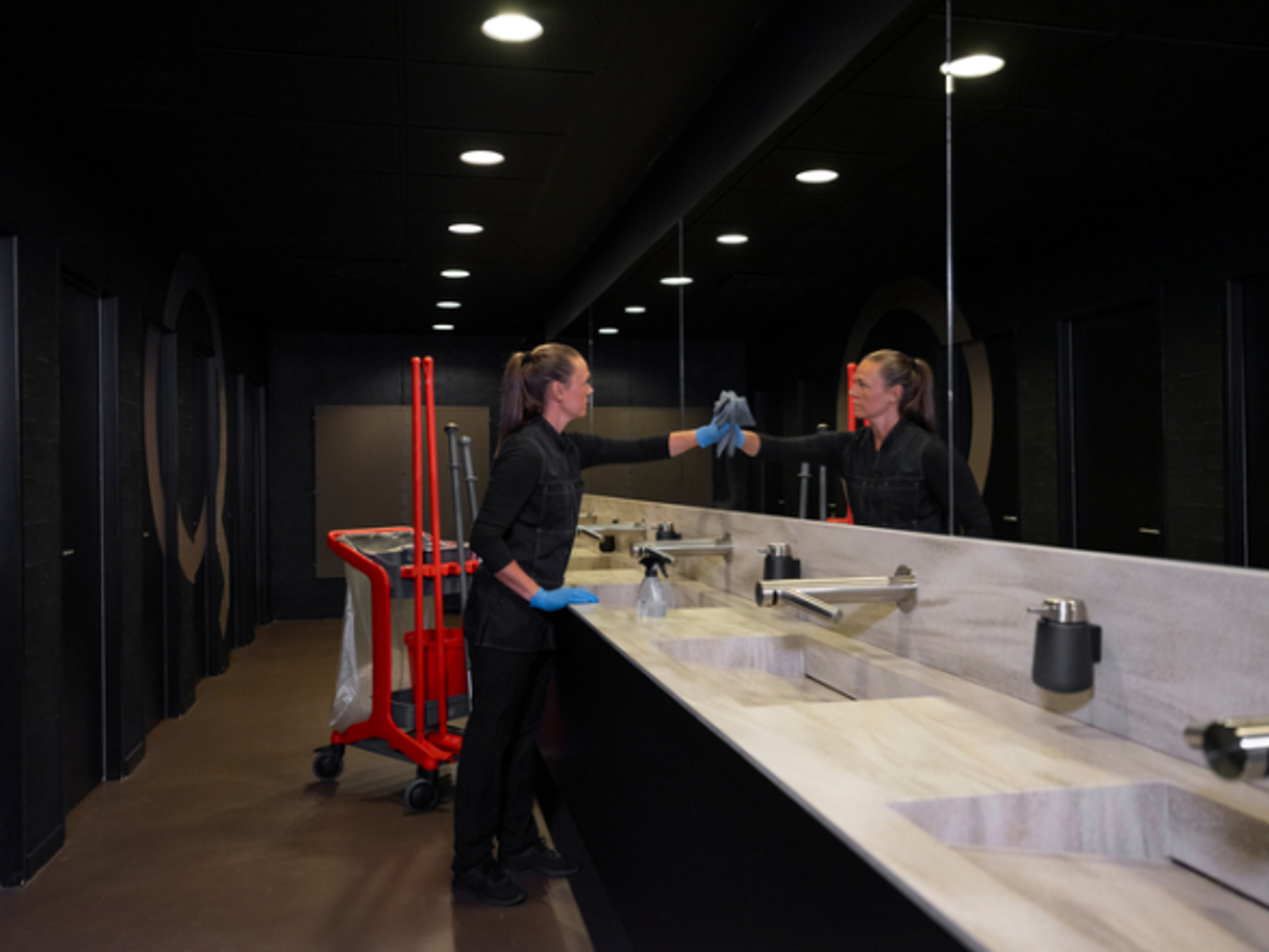 Product image maximized