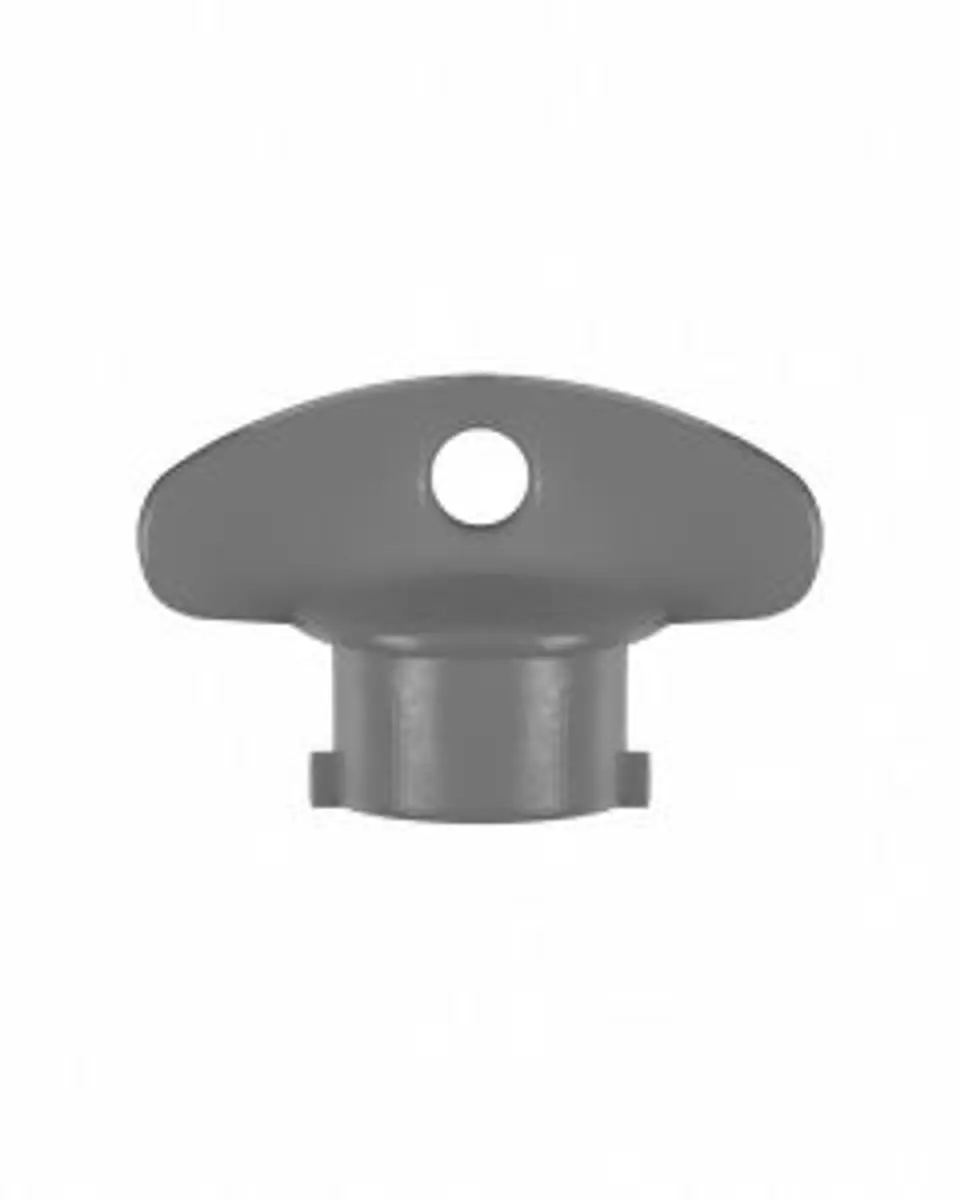 Product image maximized