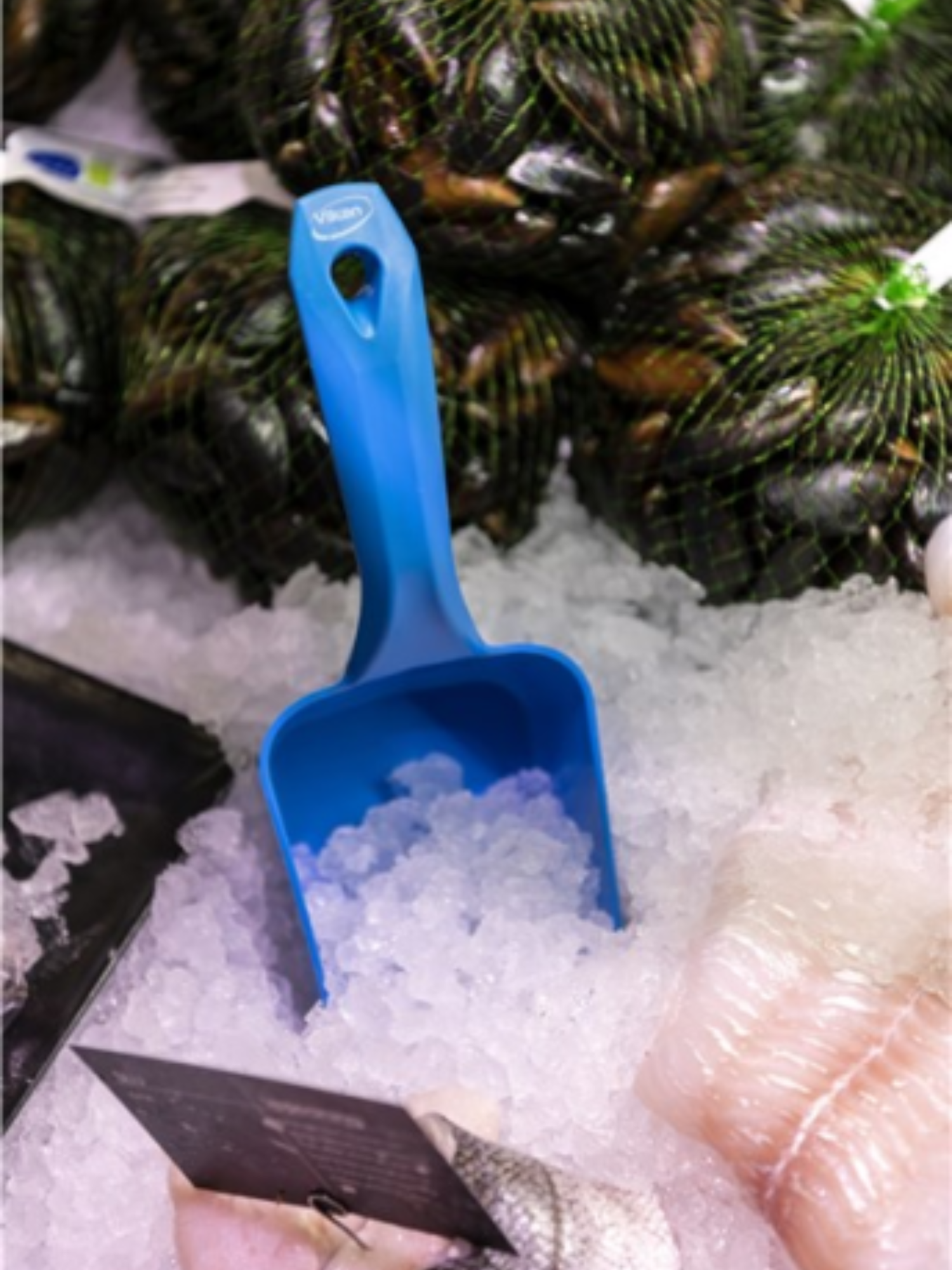 Product image maximized