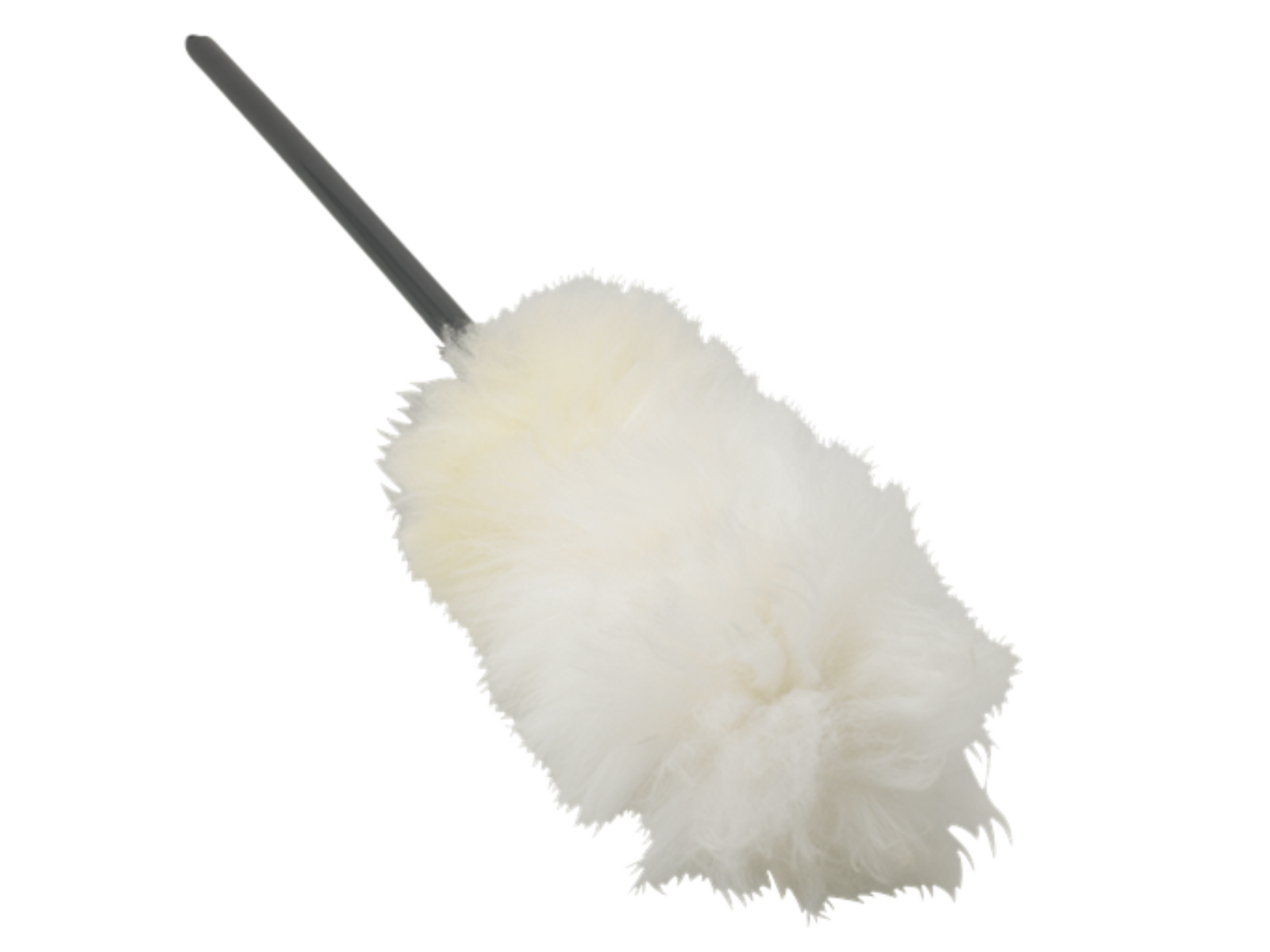 Product image maximized