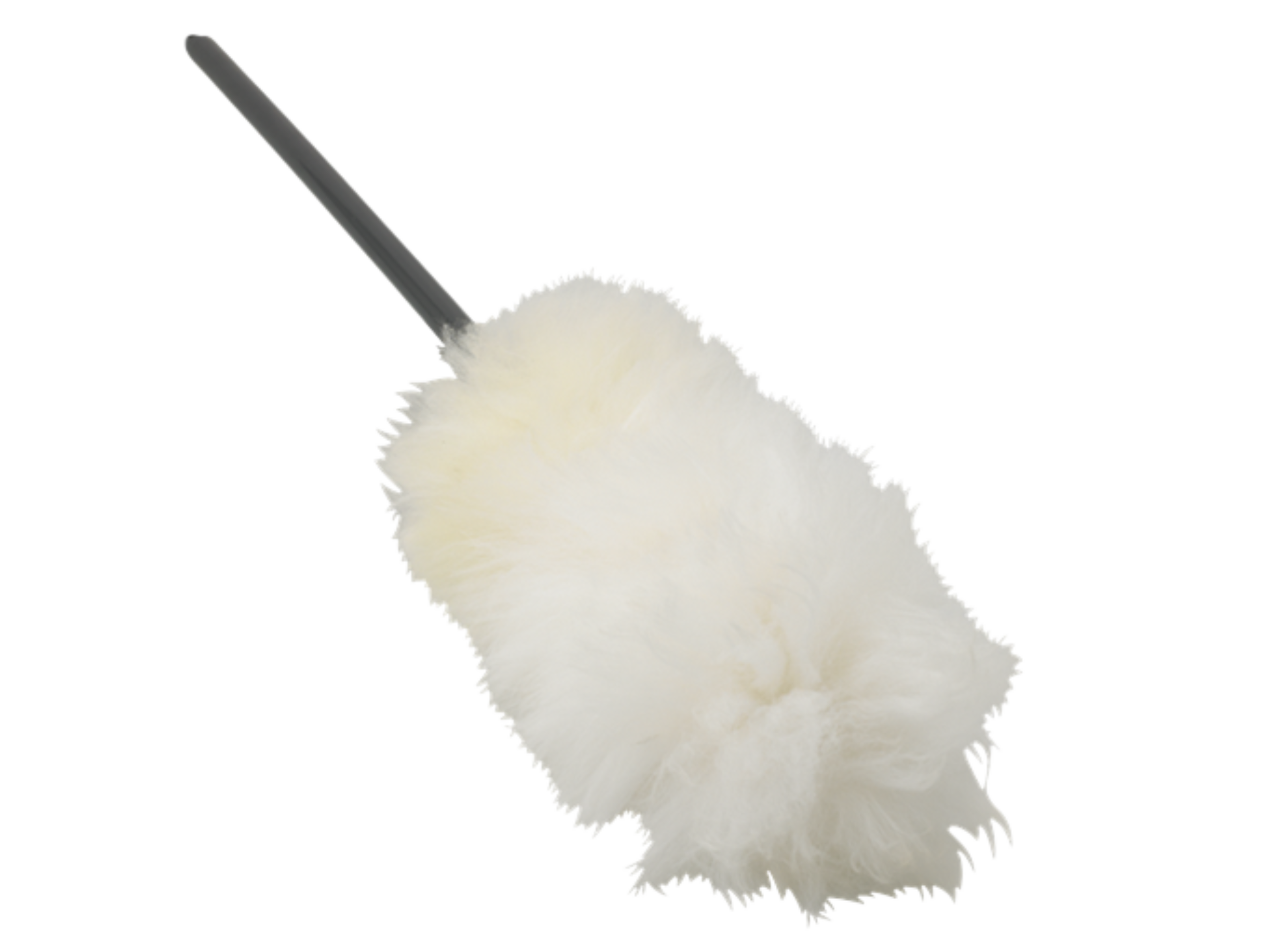 Product image maximized