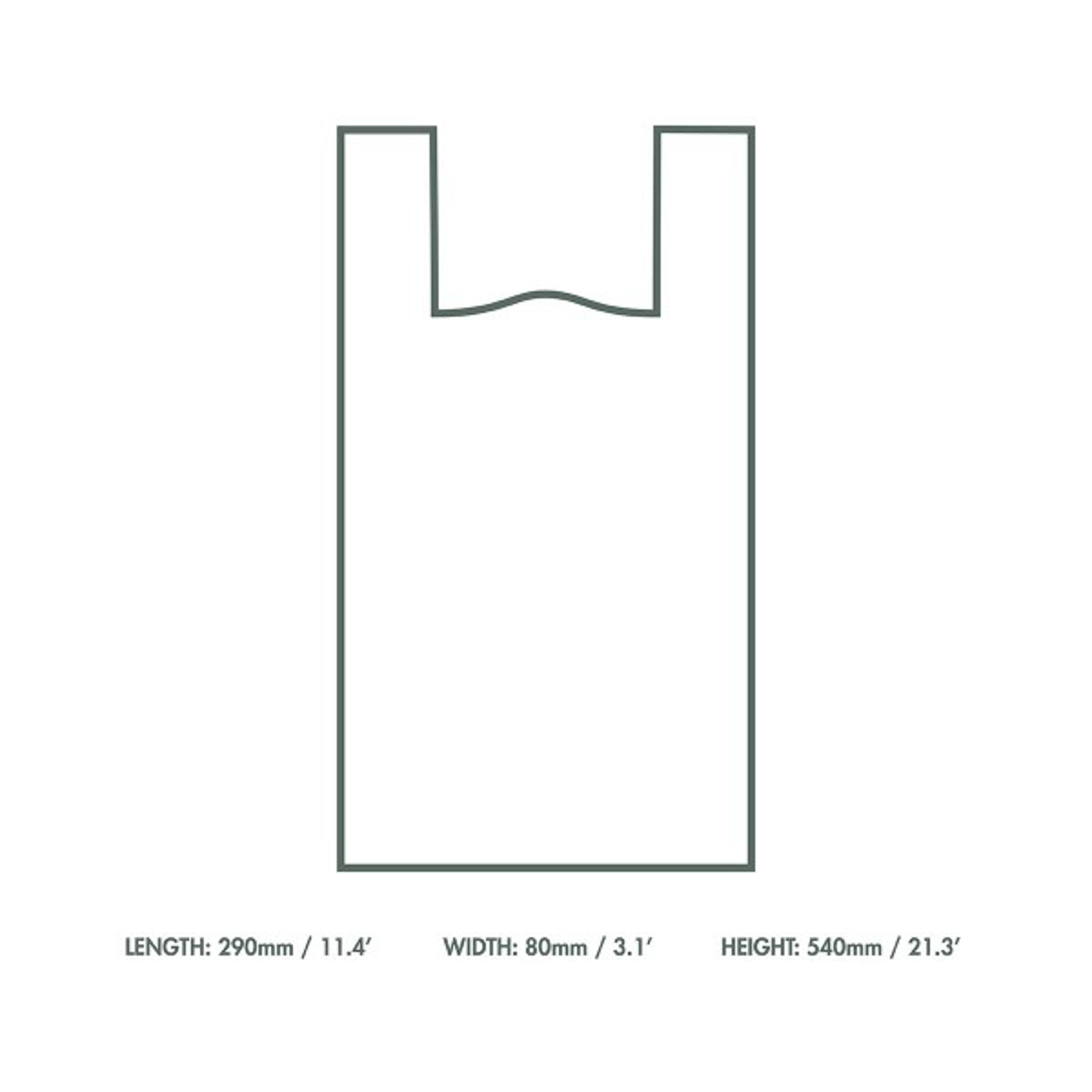 Product image maximized