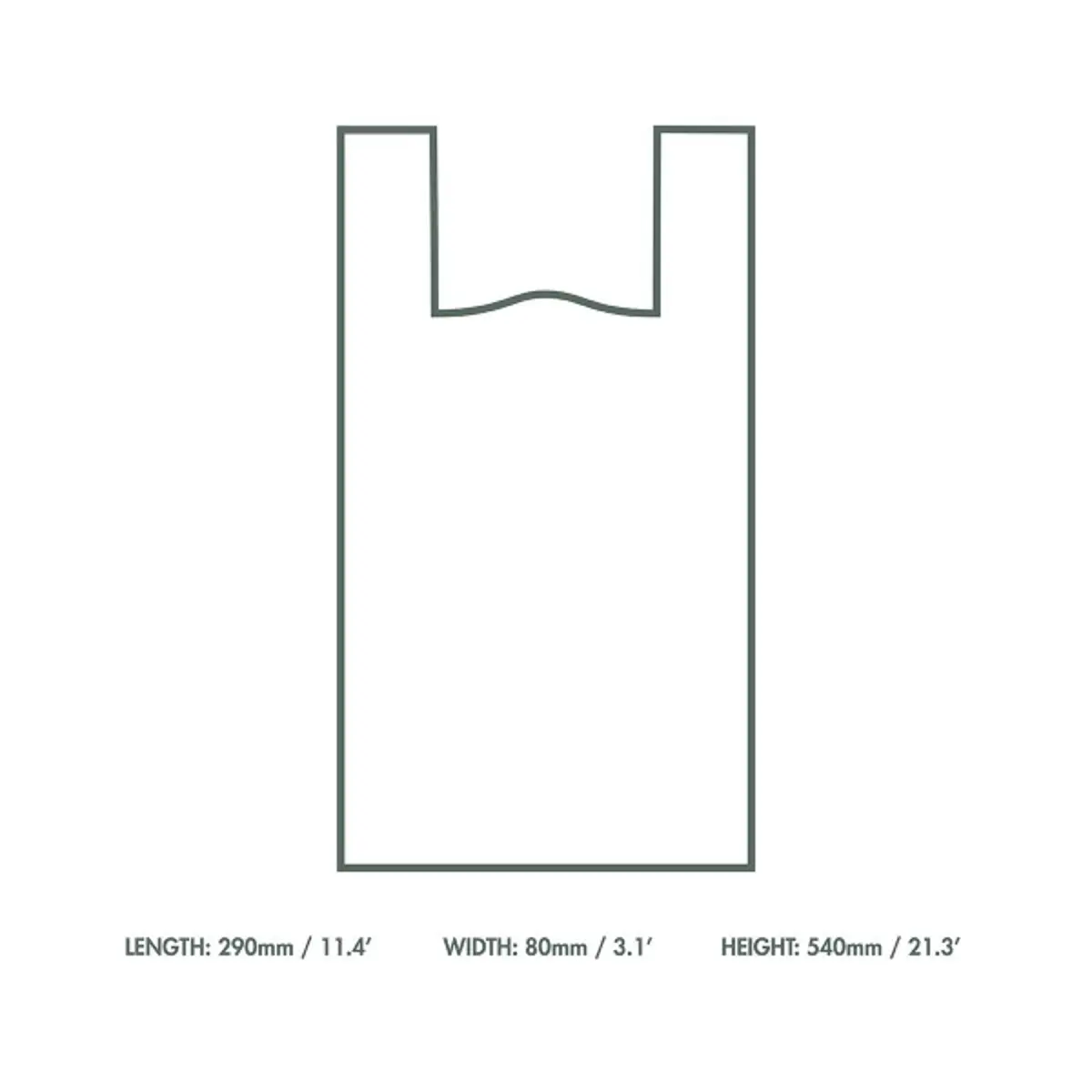 Product image maximized