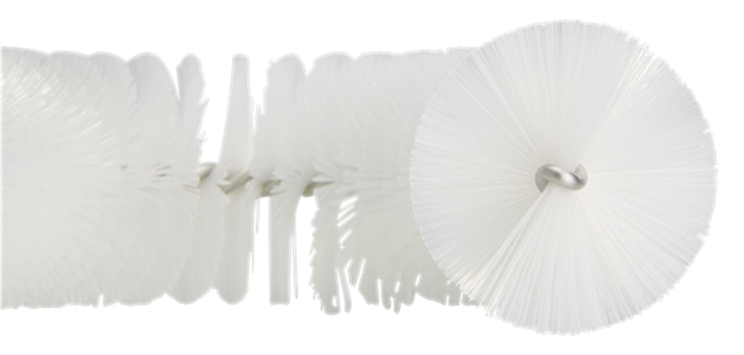 Product image maximized