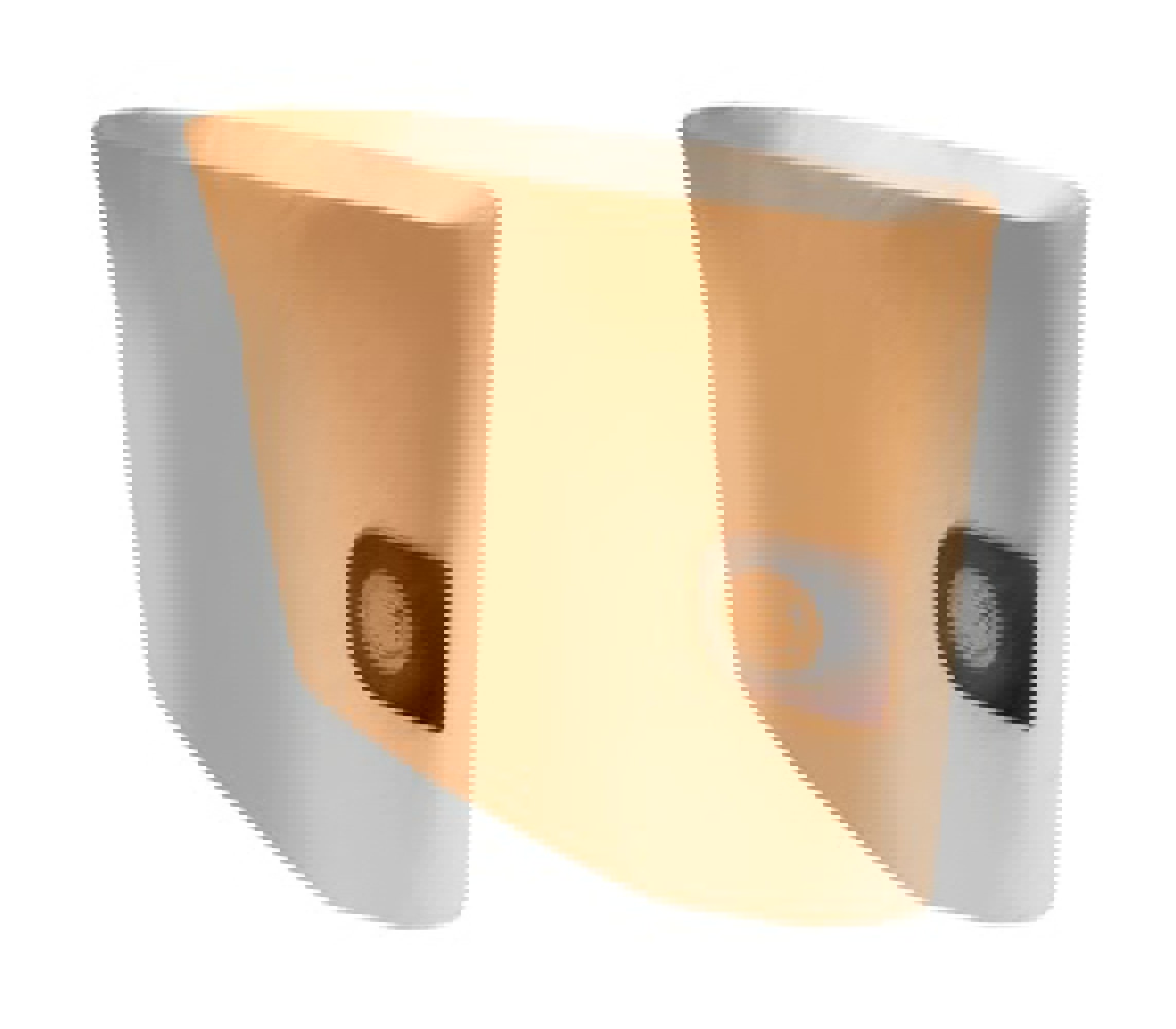 Product image maximized