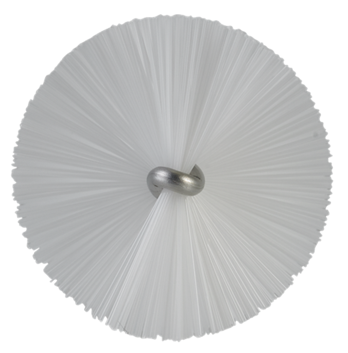 Product image maximized