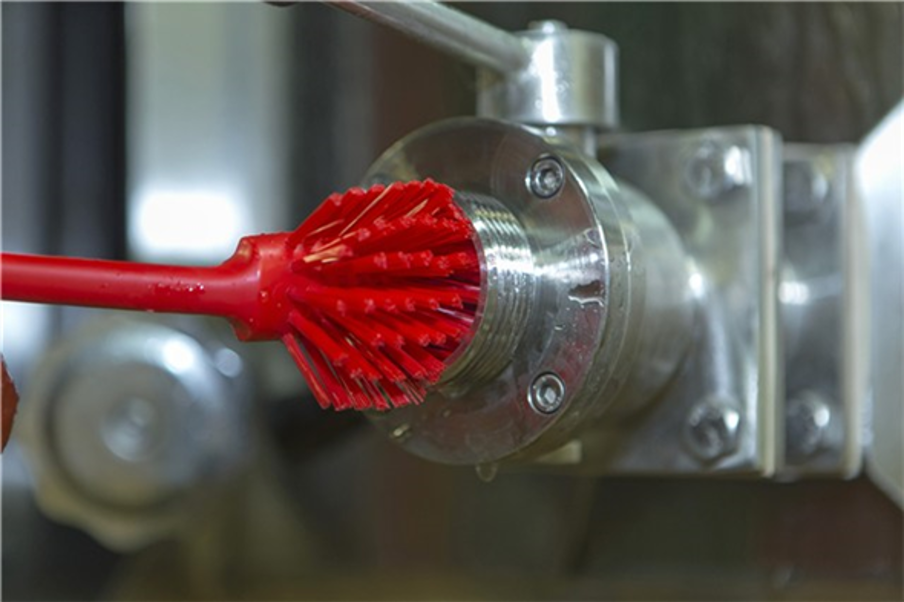 Product image maximized