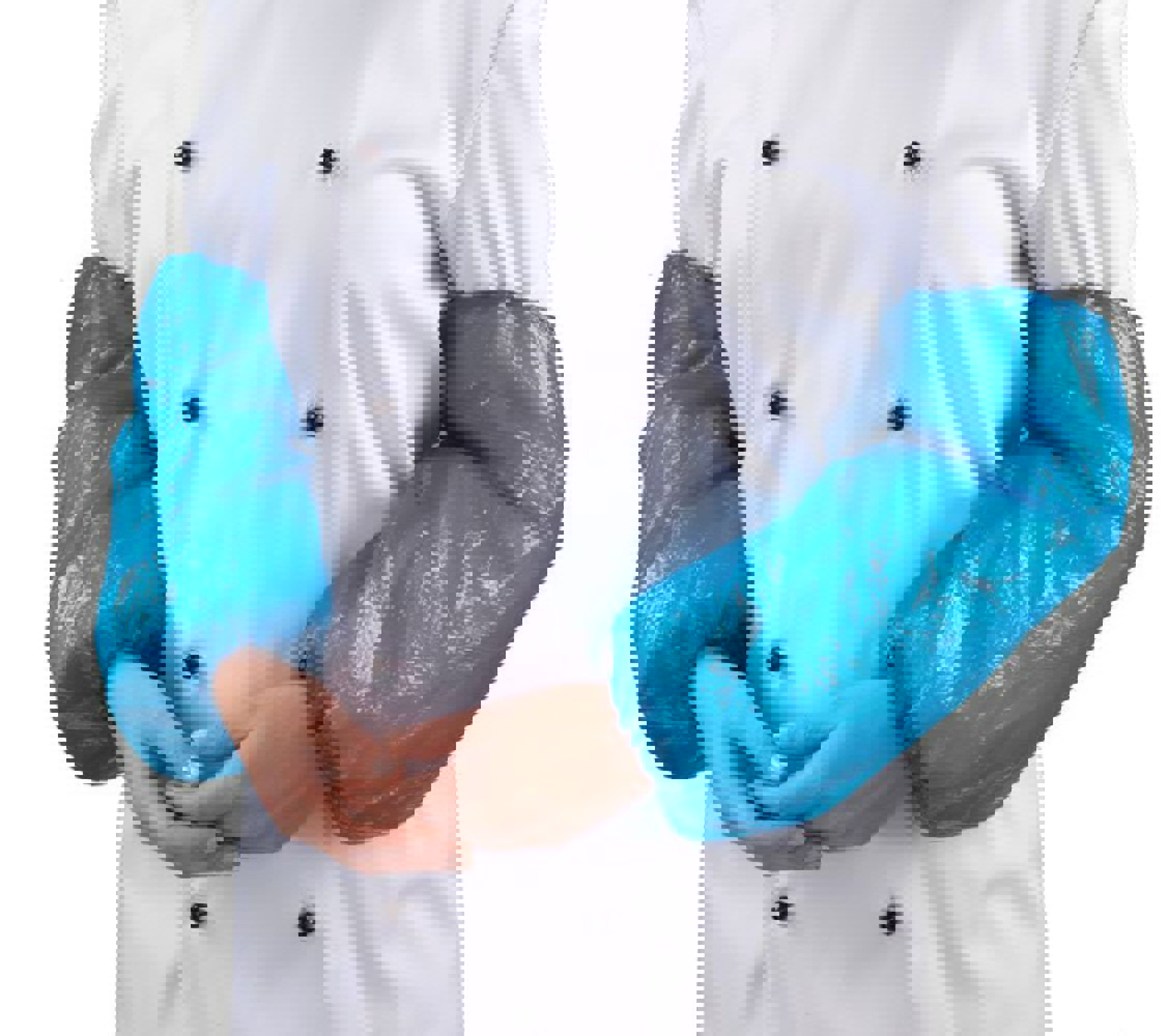 Product image maximized
