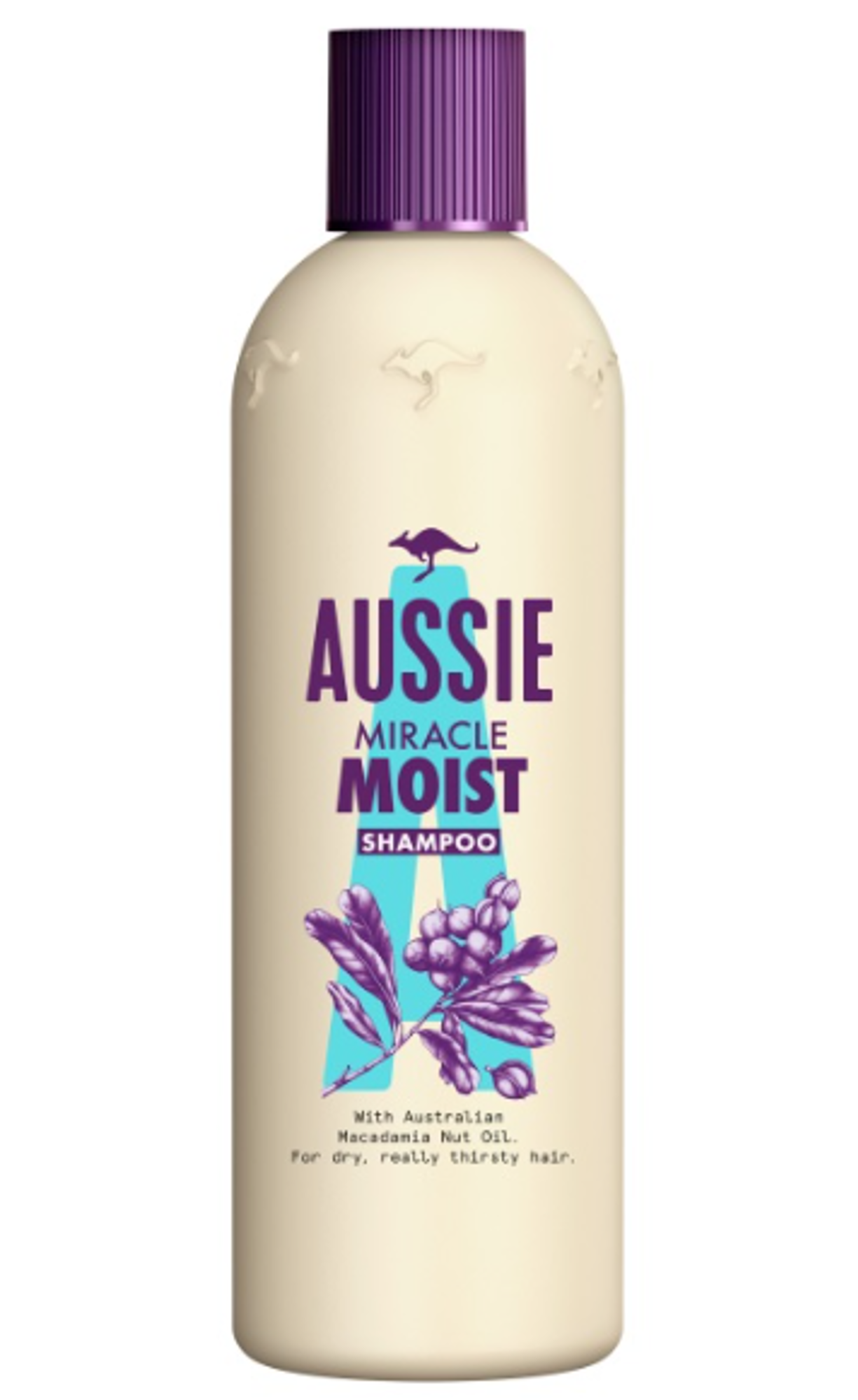 Product image maximized
