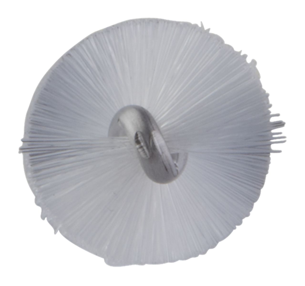 Product image maximized