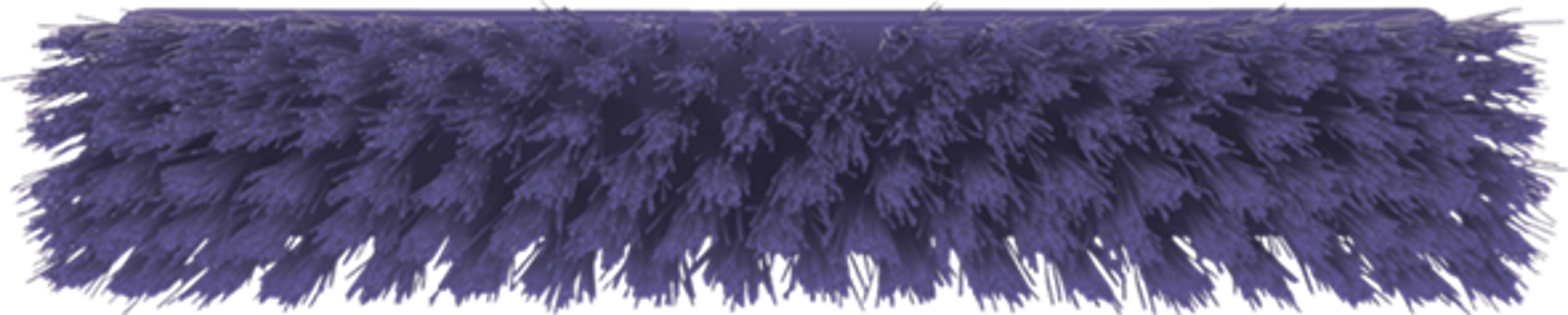 Product image maximized