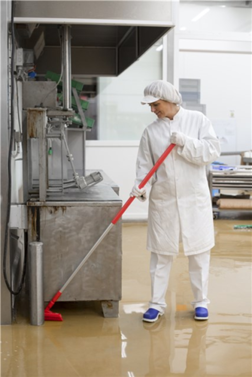 Product image maximized